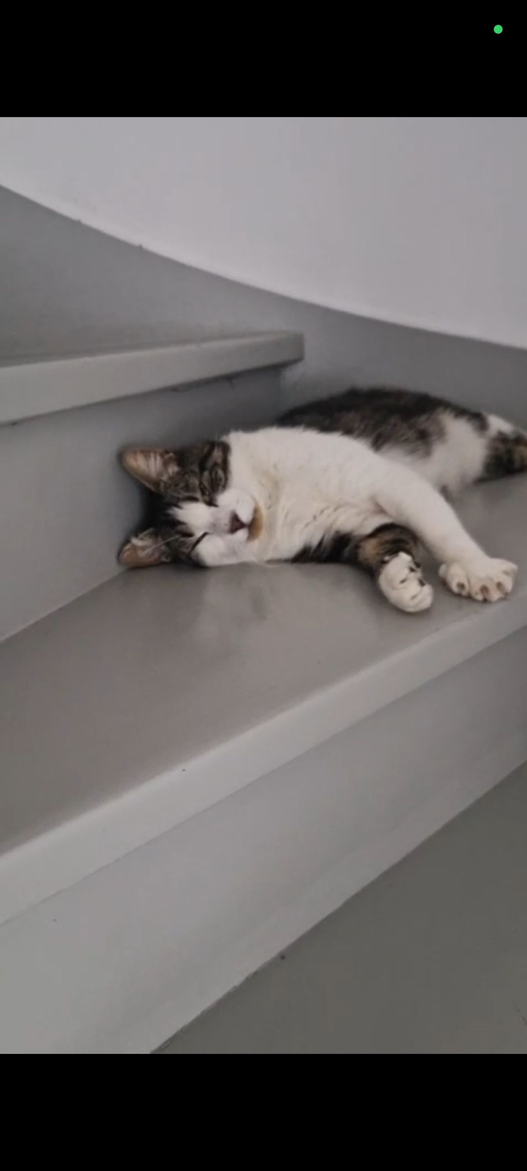 Snow - 1 Rue du Bois d'Ardennes, Villefranche-sur-Cher