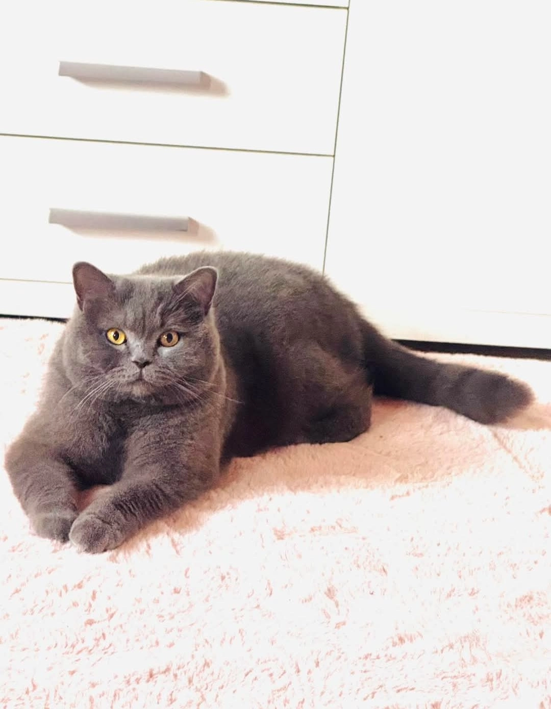 Felix - Graf-Stolberg-Straße, Bad Bramstedt