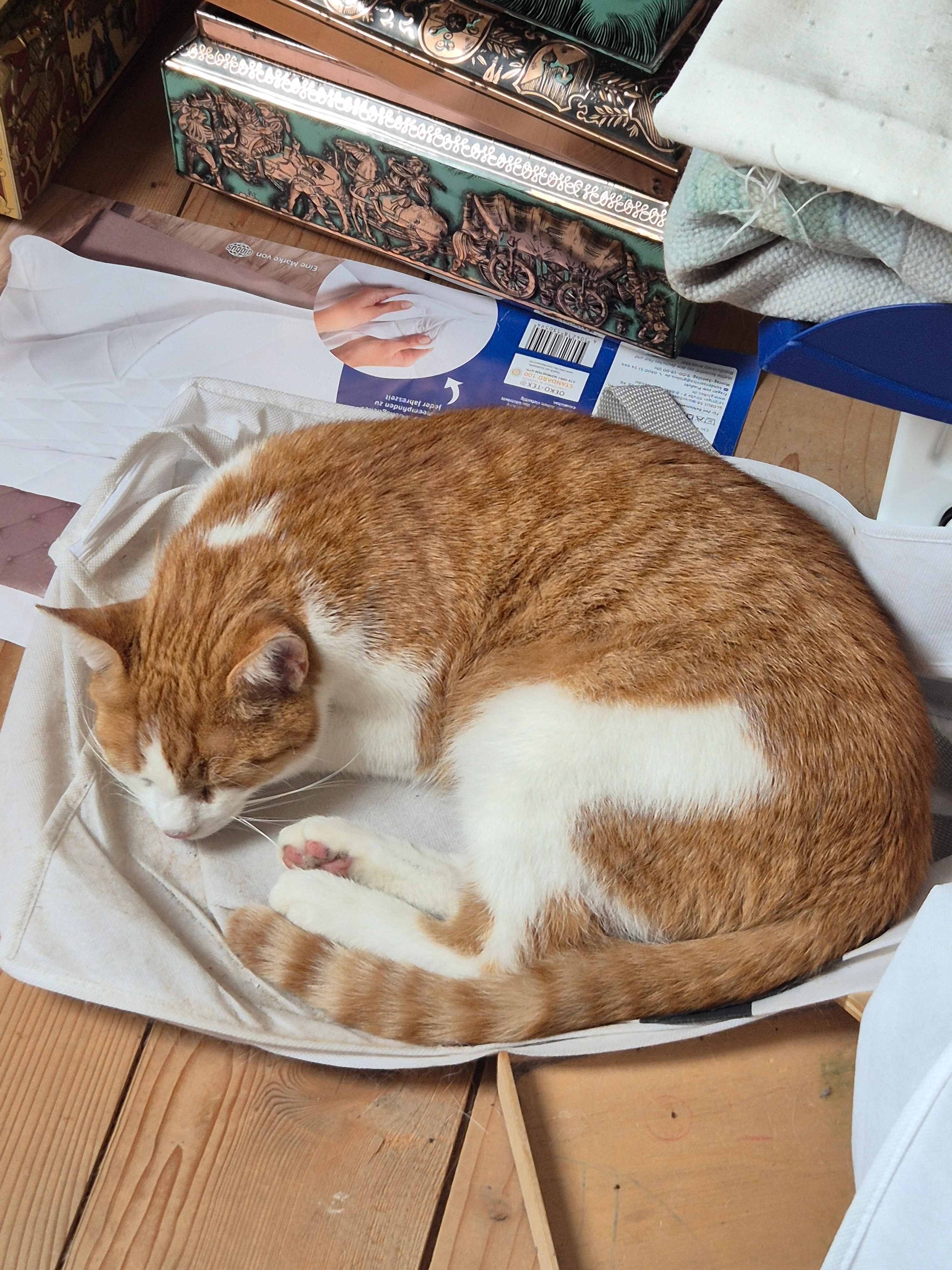 Mucki - Hermannstädter Straße 8, Freilassing