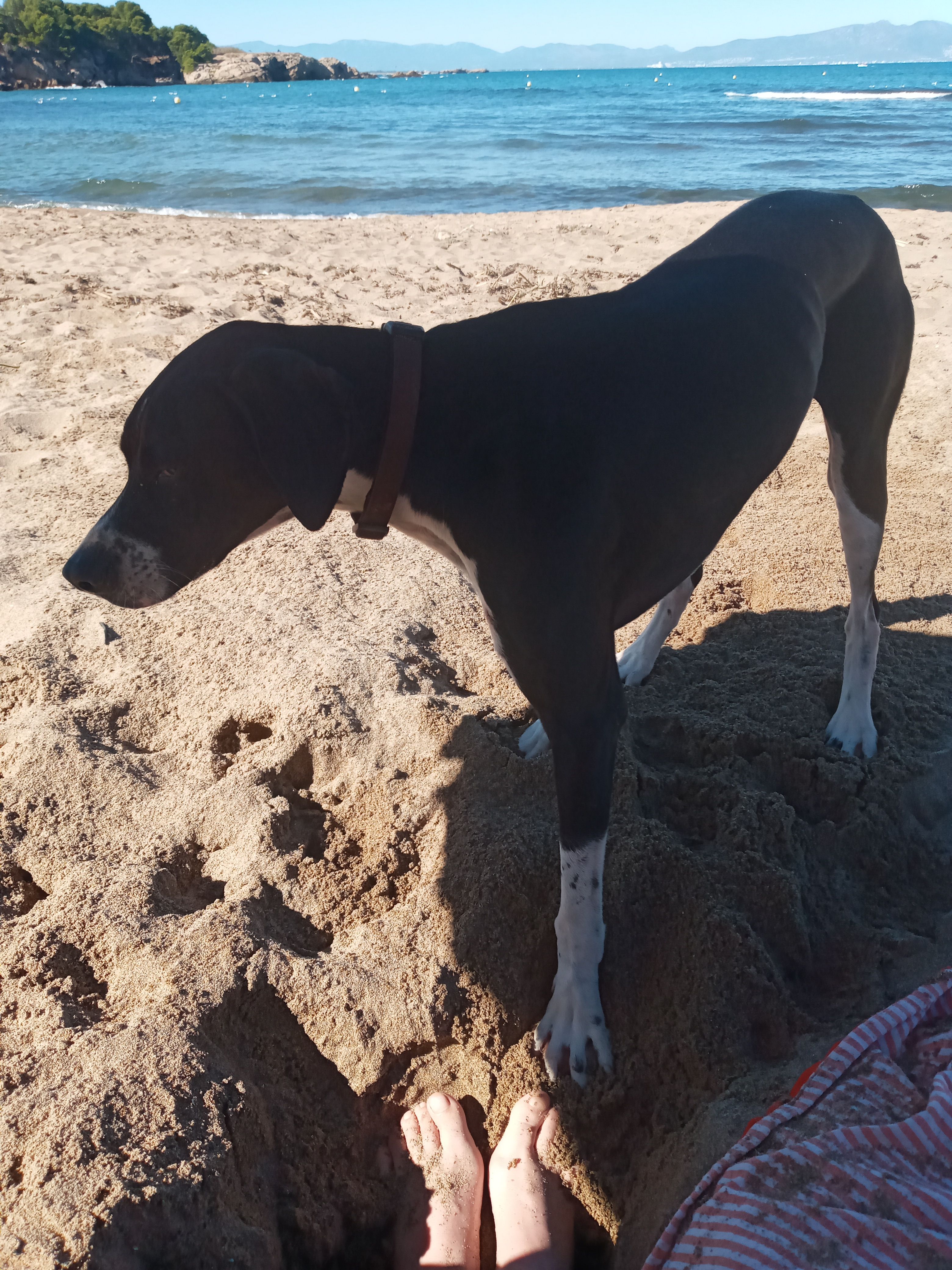Tet - Plaça Major, Sant Aniol de Finestres