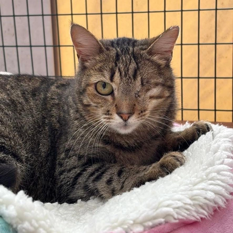 Natalia - Rua Fernão Vilarinho, Lagos