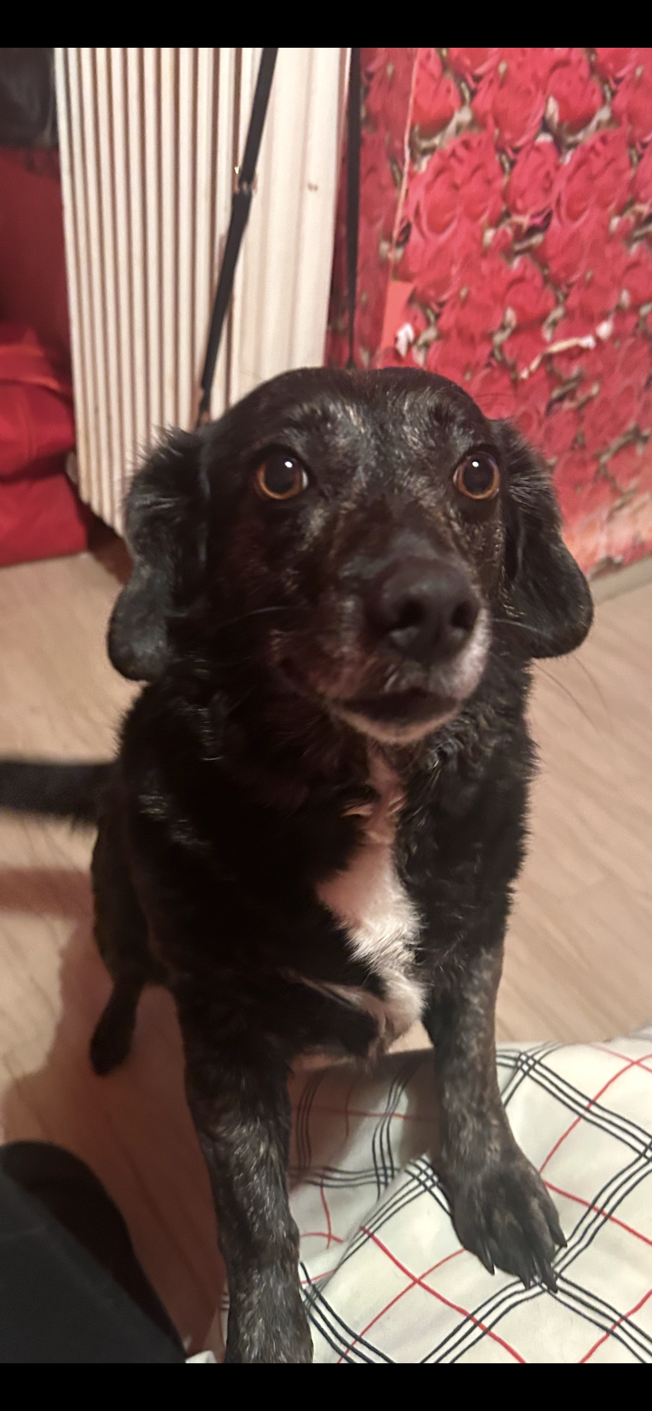 Bella - Granikou, Peristeri