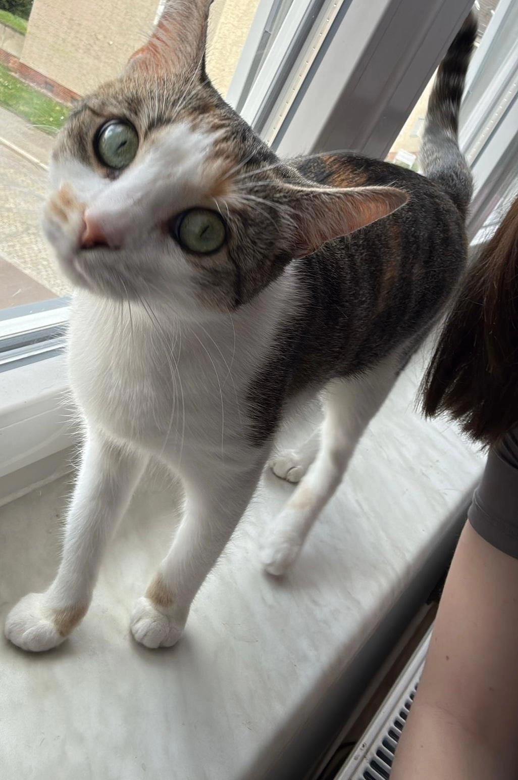 Nala  - Curiestraße, Magdeburg