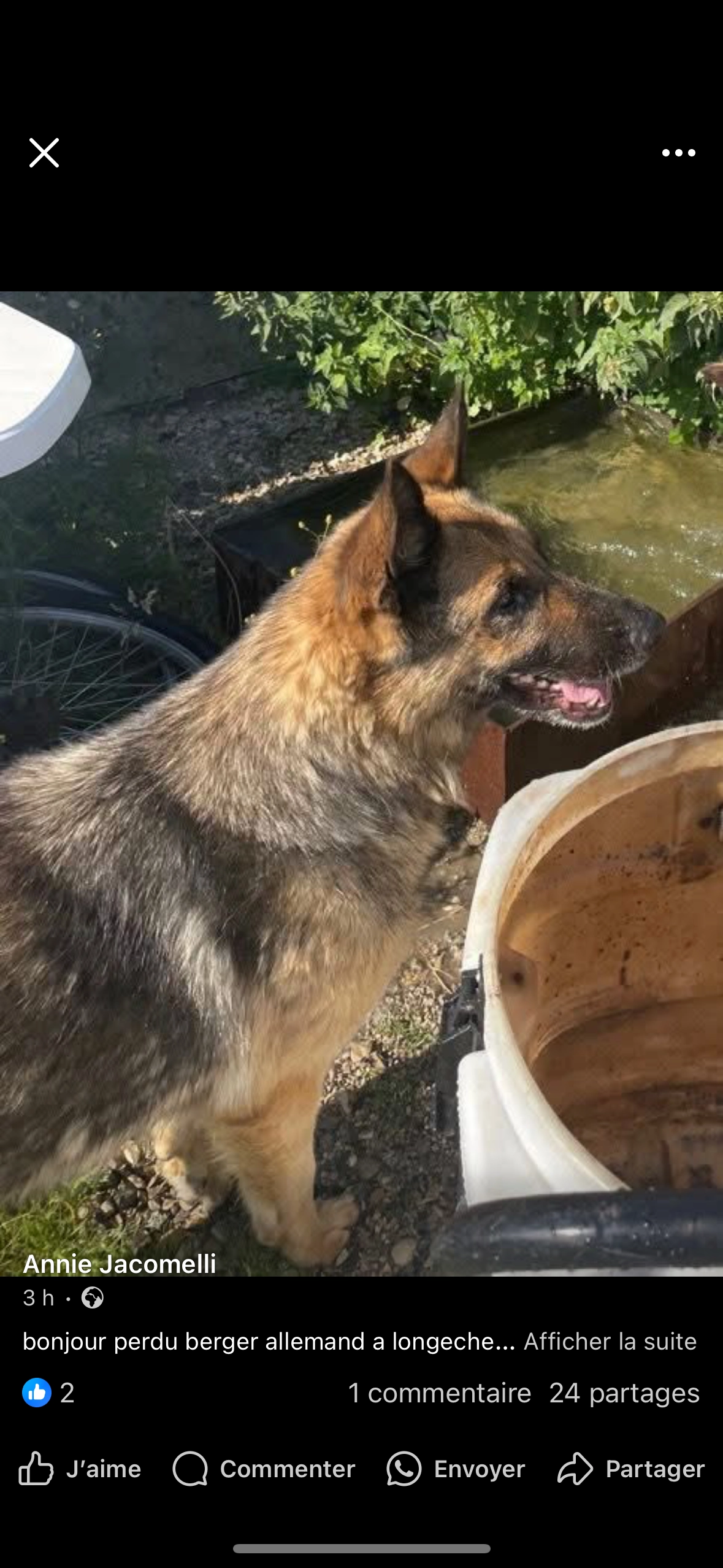 mina  - 569 Rue du Francillon, Longechenal