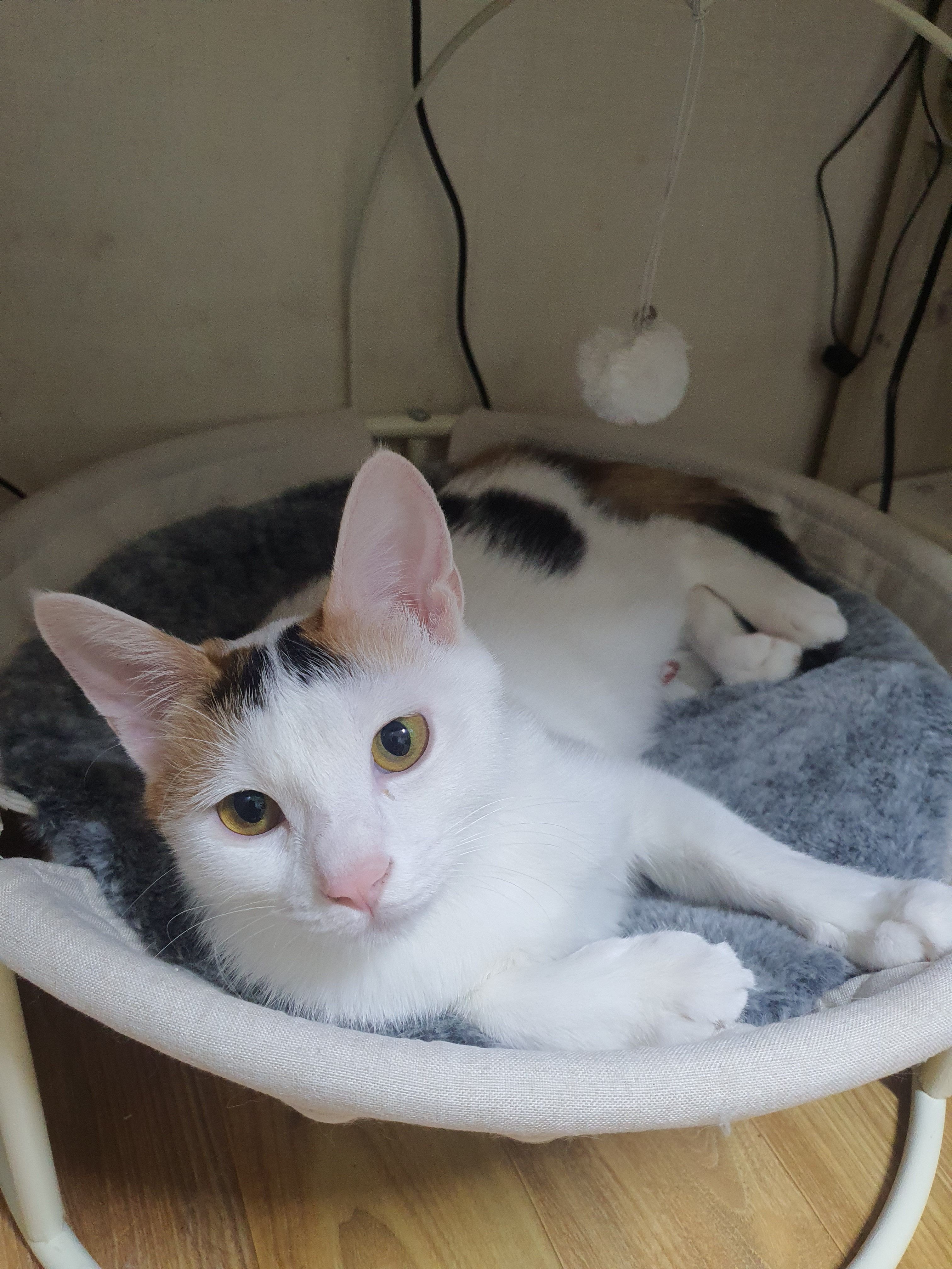 Kiara - 재넘이길, Incheon