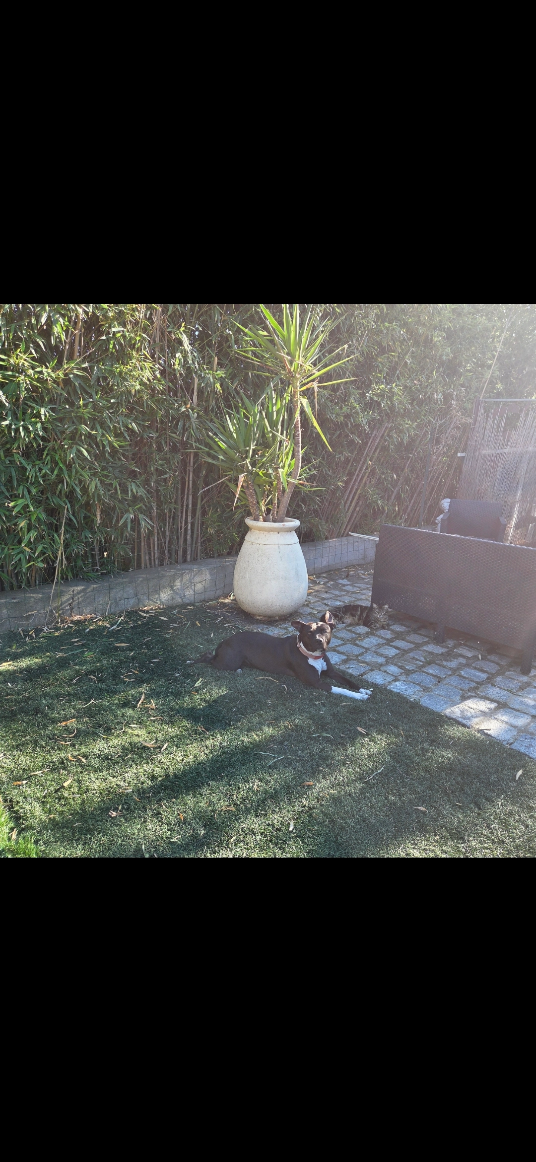 Lola - 873 Chemin de Piédardant, Ollioules