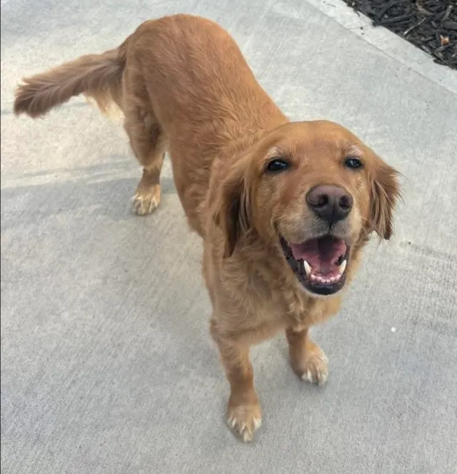 Mia - South 11th Street, Kansas City