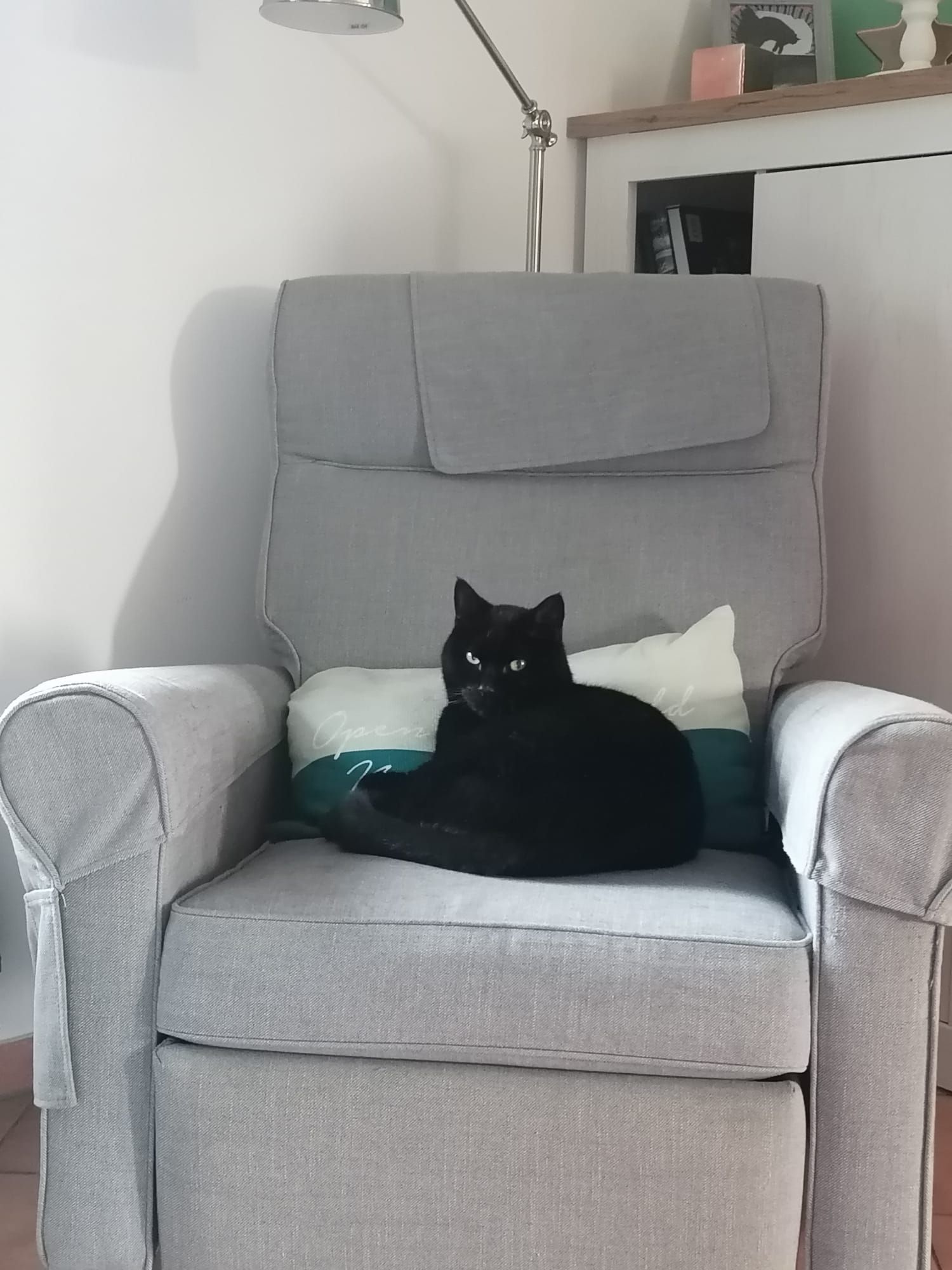 Rocky - Stettiner Straße, Ratzeburg