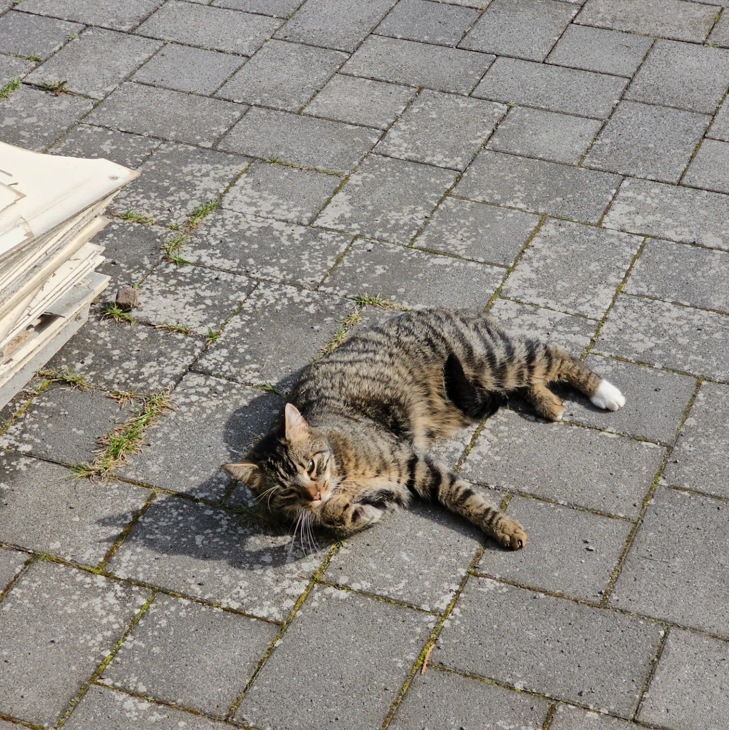 Max - Elztalstraße, Kehrig