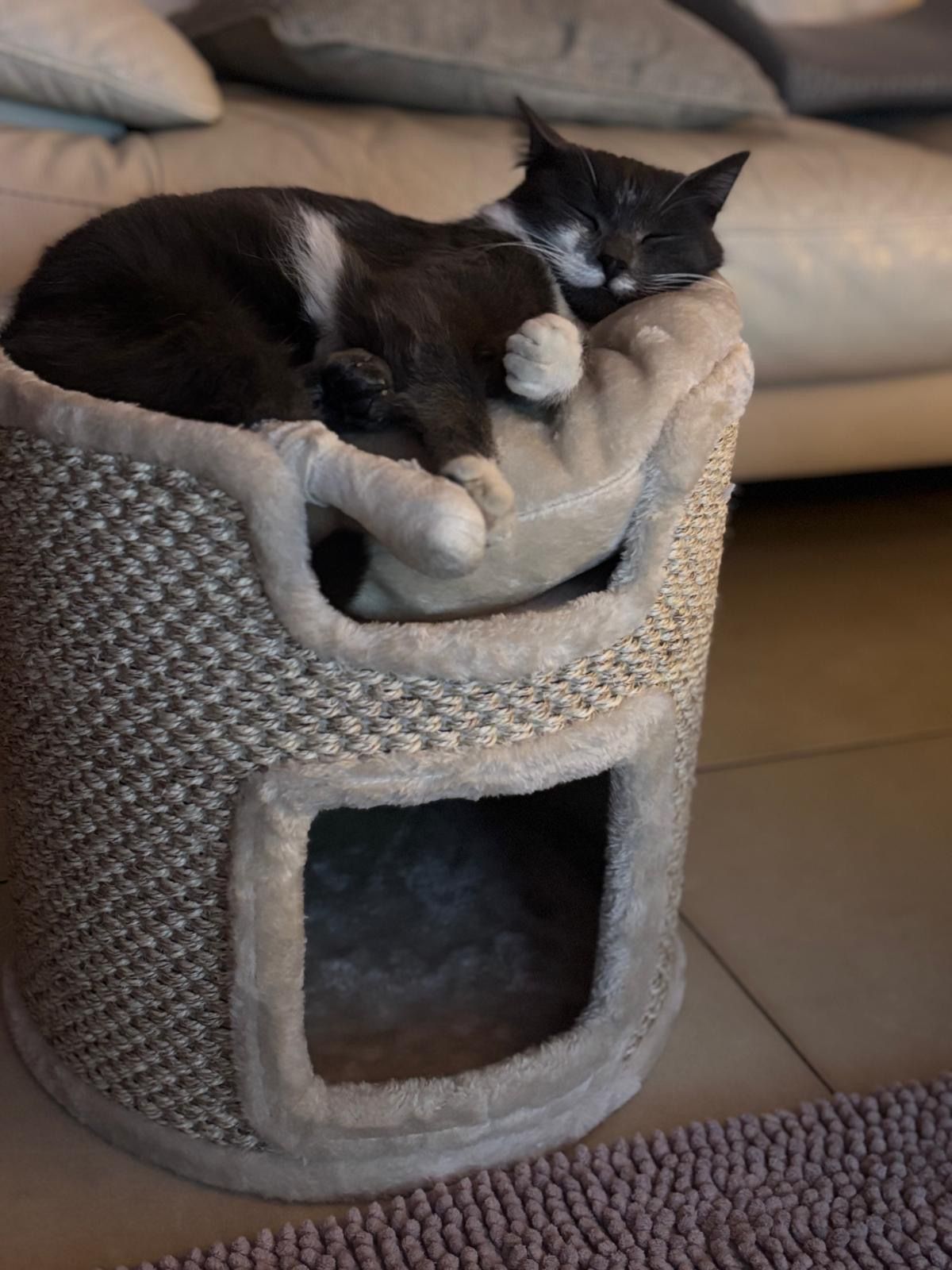 Tito - Gajeva Ulica, Solin