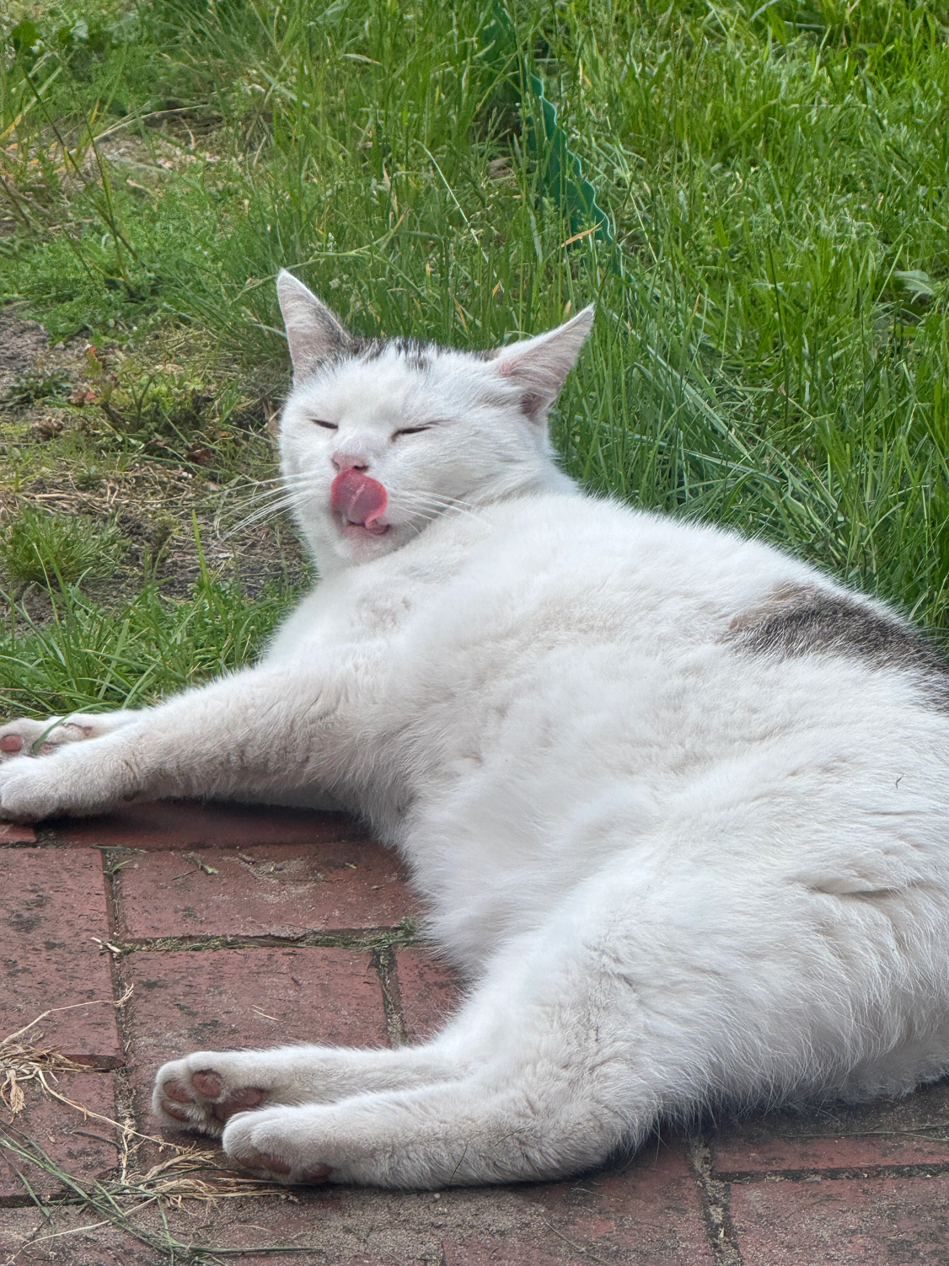 Maike - Buchenweg, Bawinkel