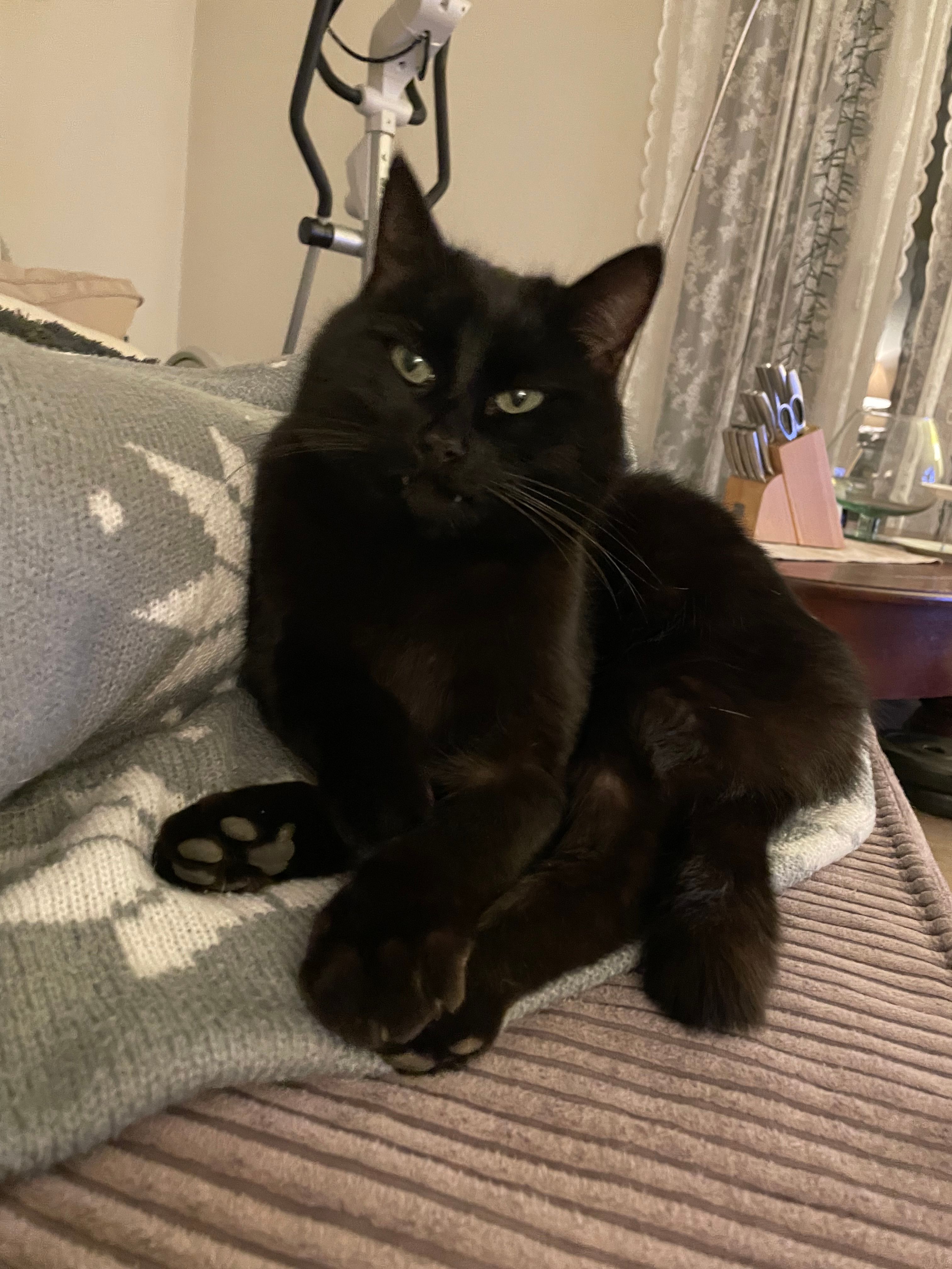 Alan - Gotthardstrasse 115, Arth