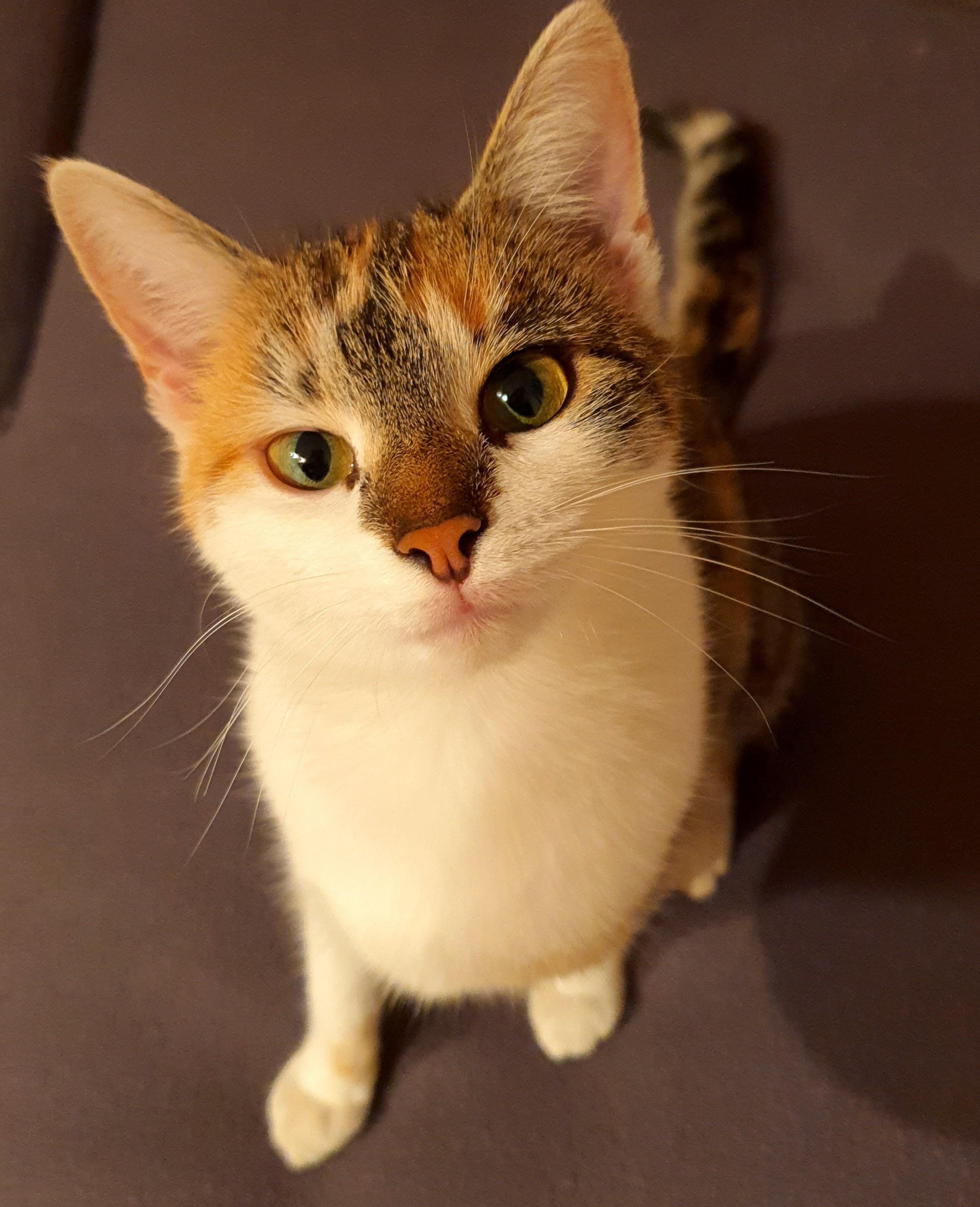 Luna - Marktplatz, Schlüsselfeld