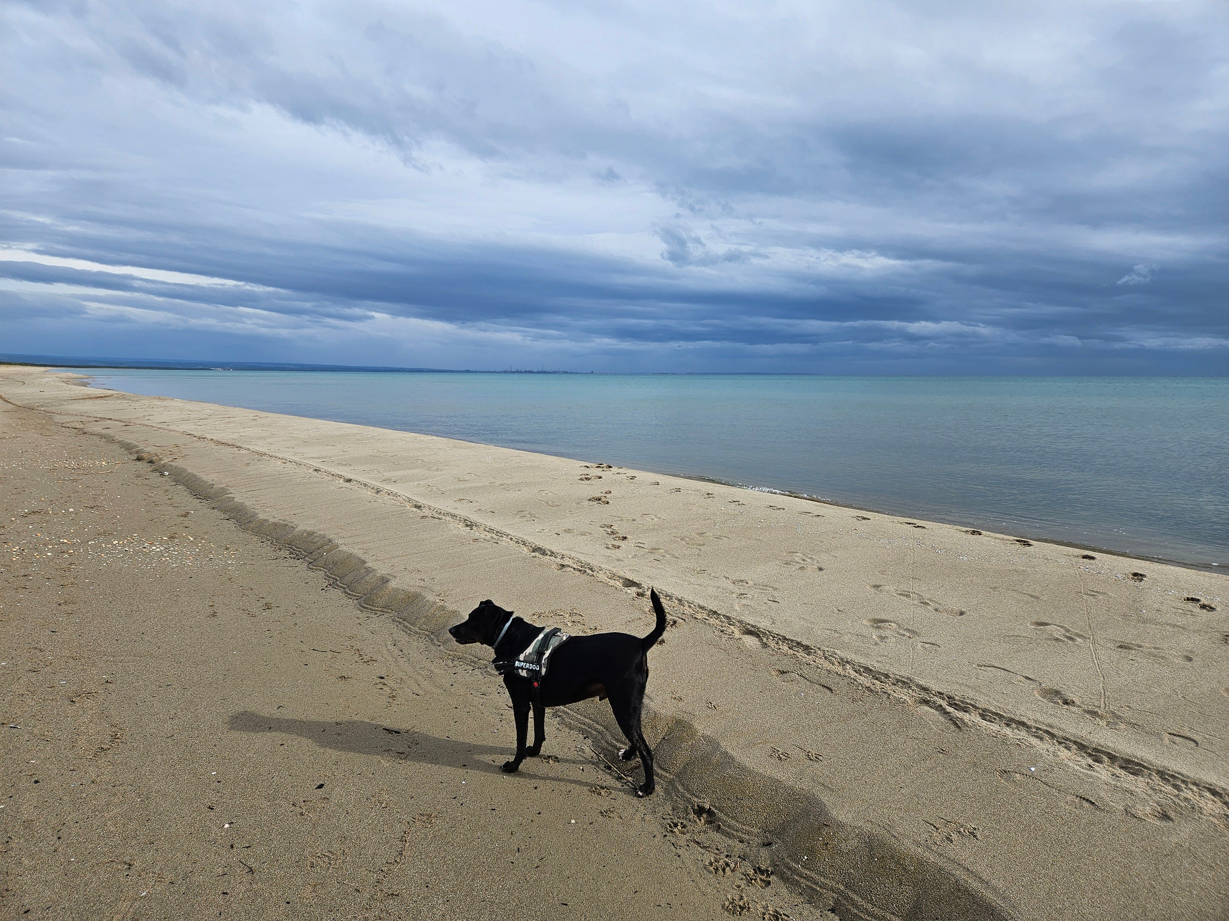 Rocco - 5360, Bardarite