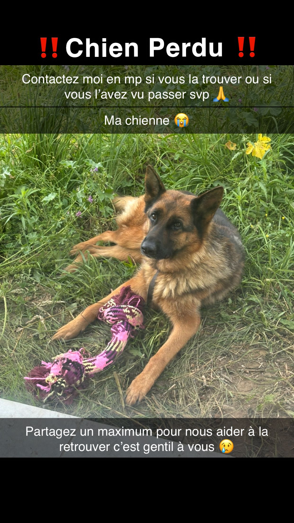 Ruby - Rue Eugène Leroy, Saint-Seurin-sur-l'Isle