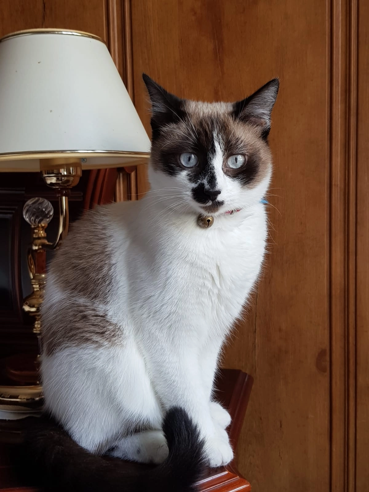 Cora - Calle de la Potasa 25, Madrid