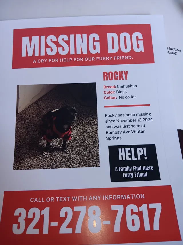 Rocky - 71 Bombay Ave, Winter Springs