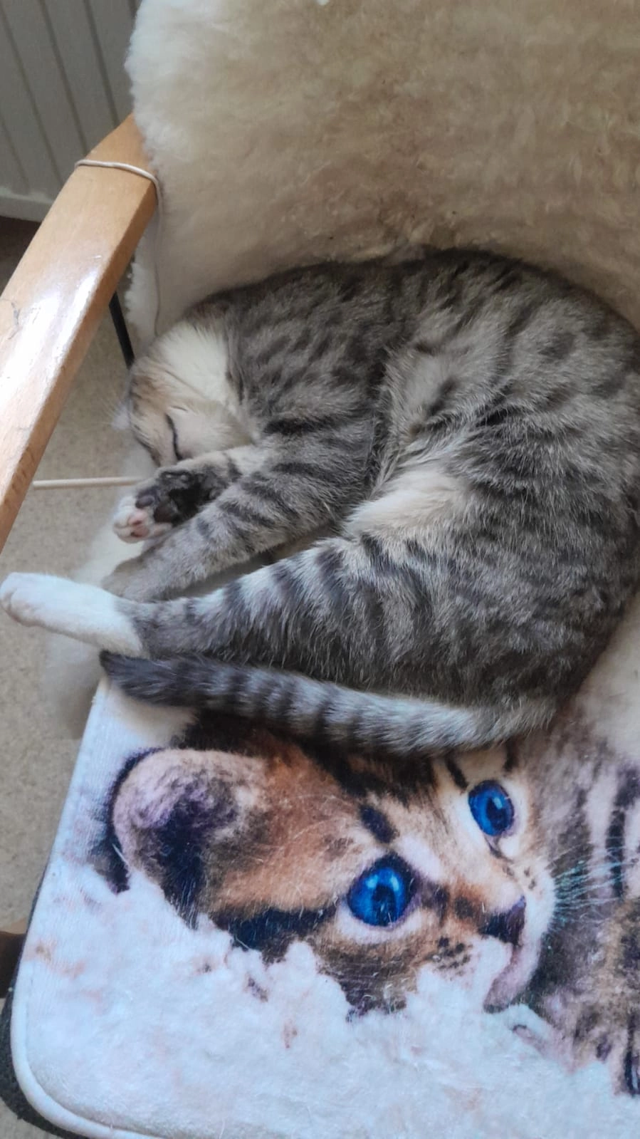 Coco - An Der Oberen Falle, Memmingen