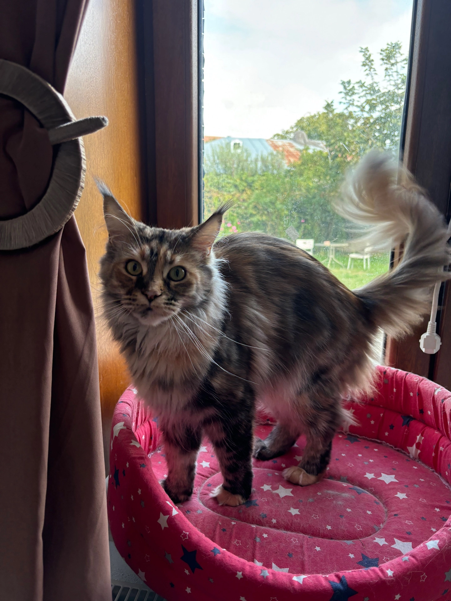 Hera - Strada Ion Țuculescu, Craiova