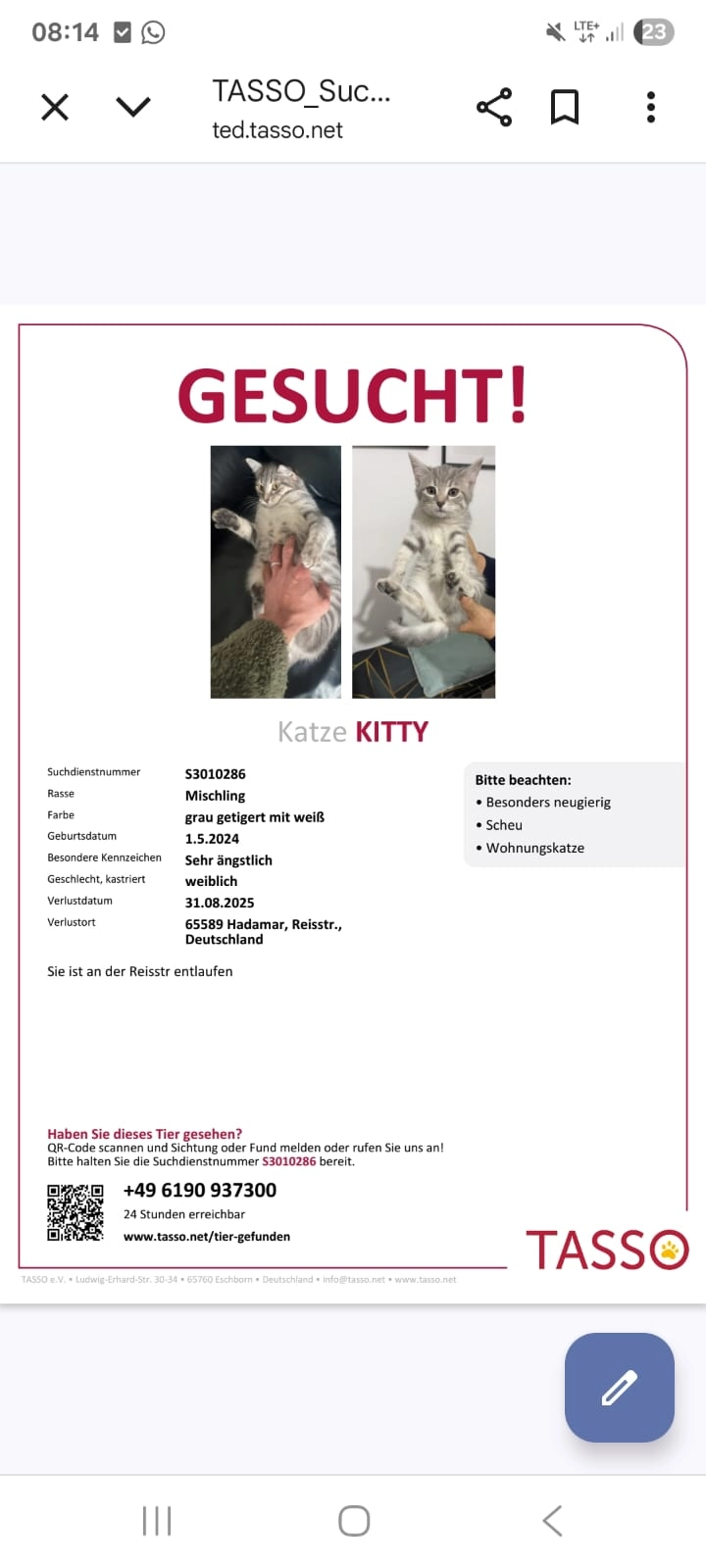 Kitty  - Reisstraße, Hadamar