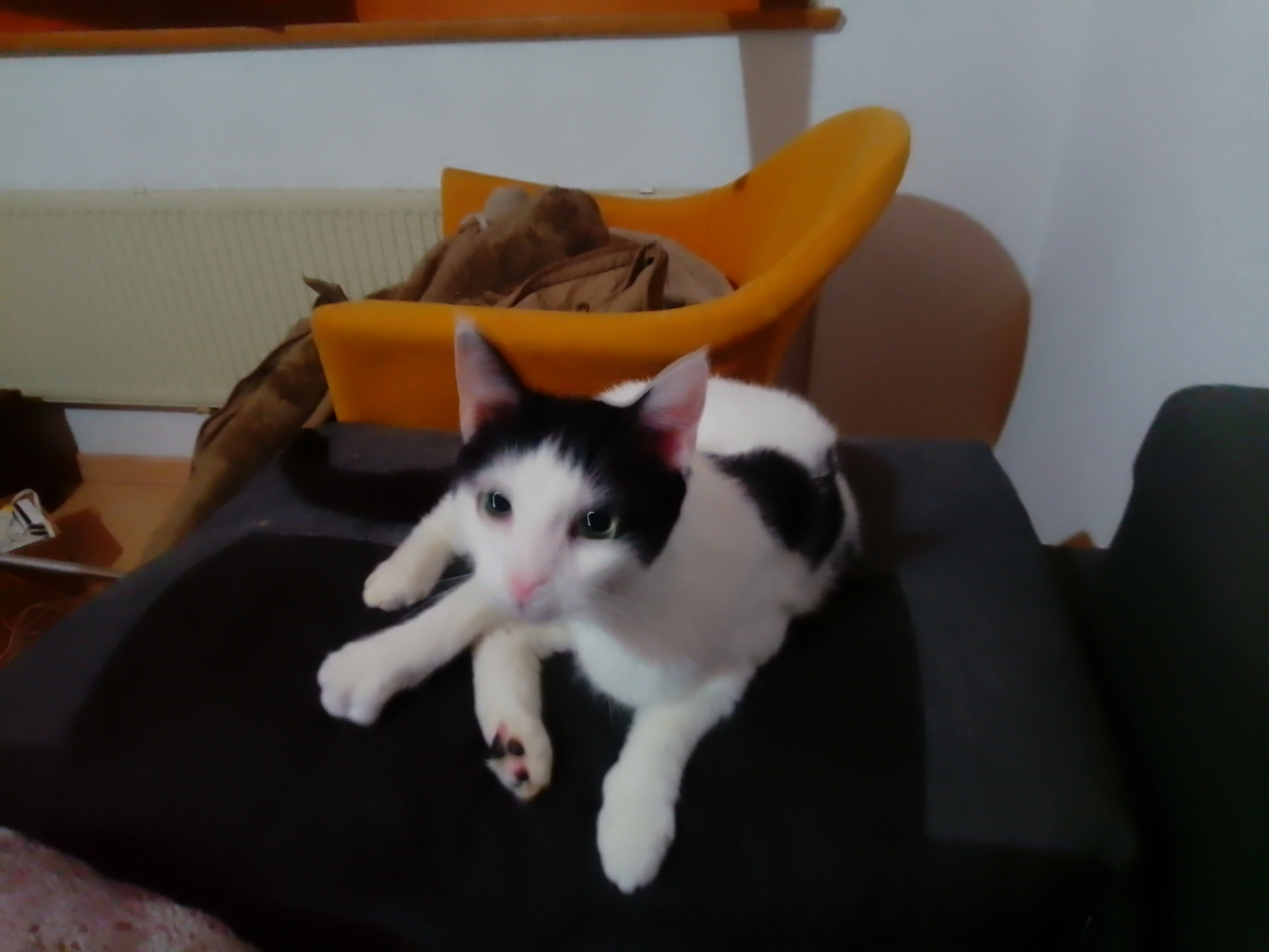 Onix - Rue Louis Chollet, Fribourg