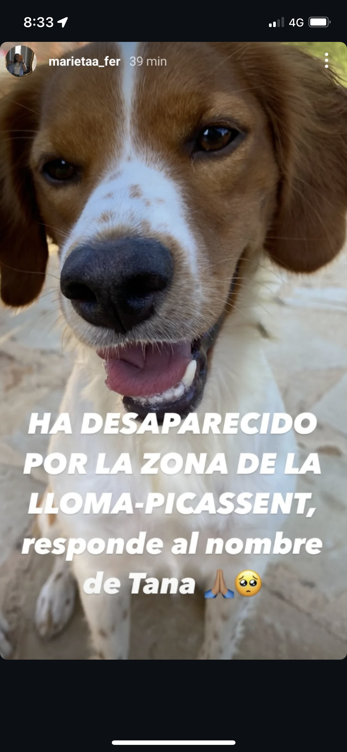 Tana - Urbanización Lloma de la Verge, Picassent