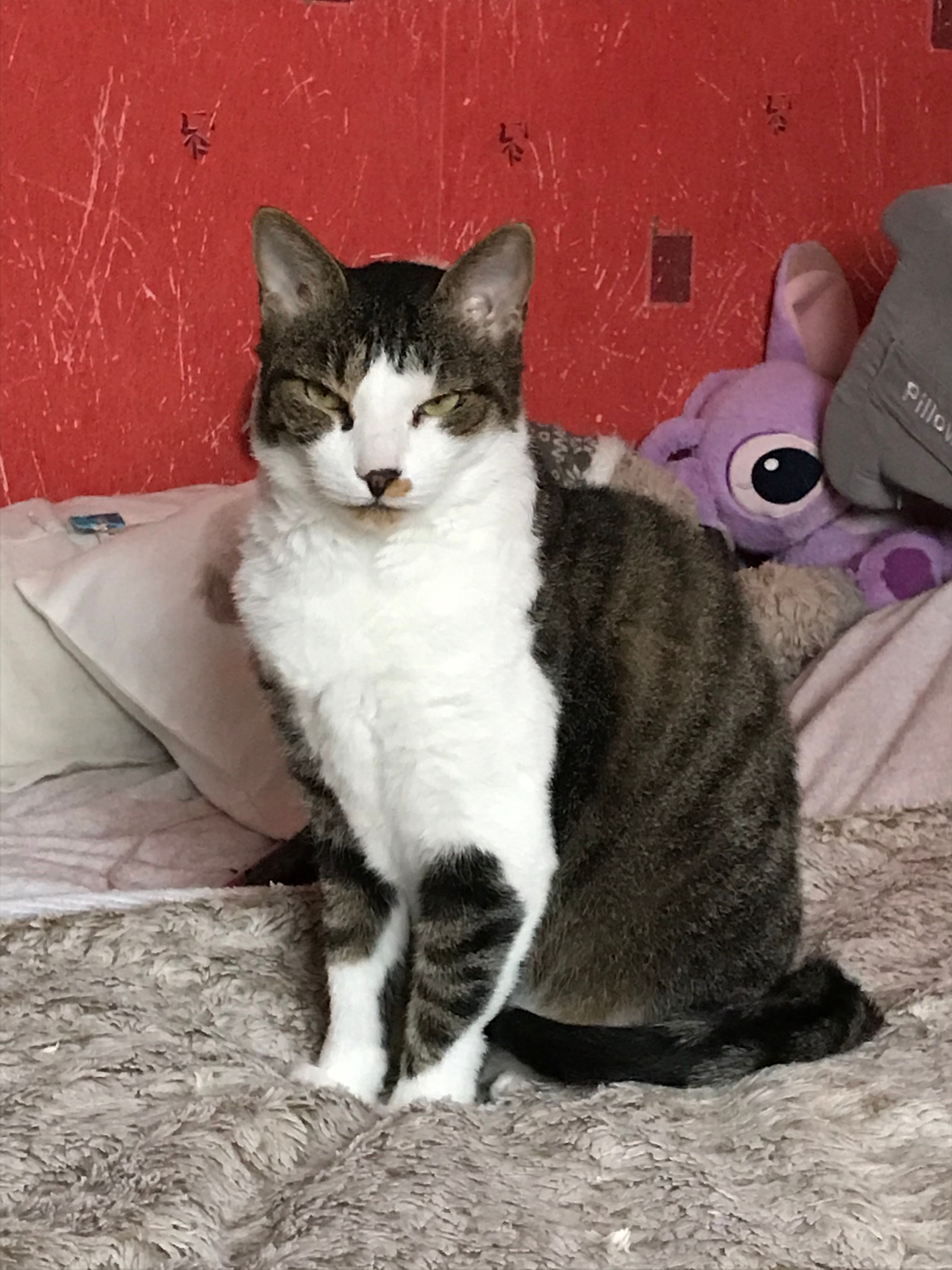 Boni - Route Neuve, Charonville