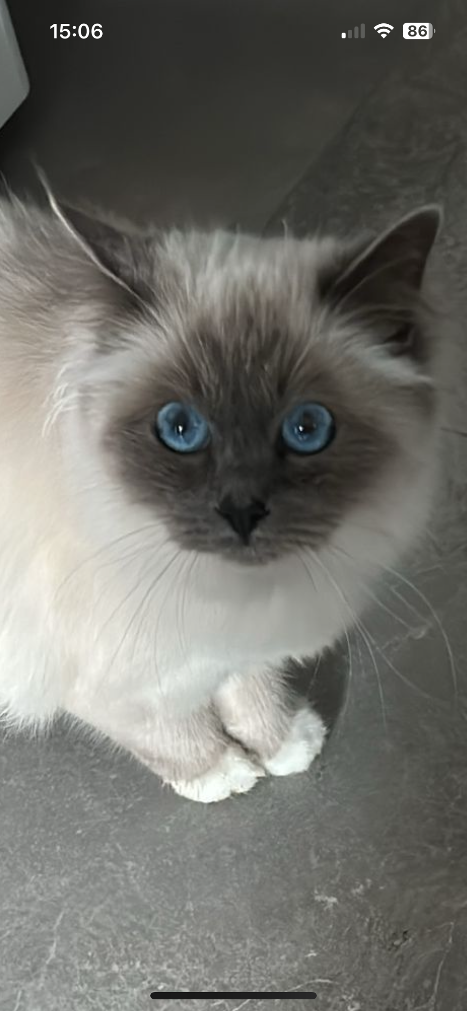 Raya - Brumunder Ring, Wilhelmshaven