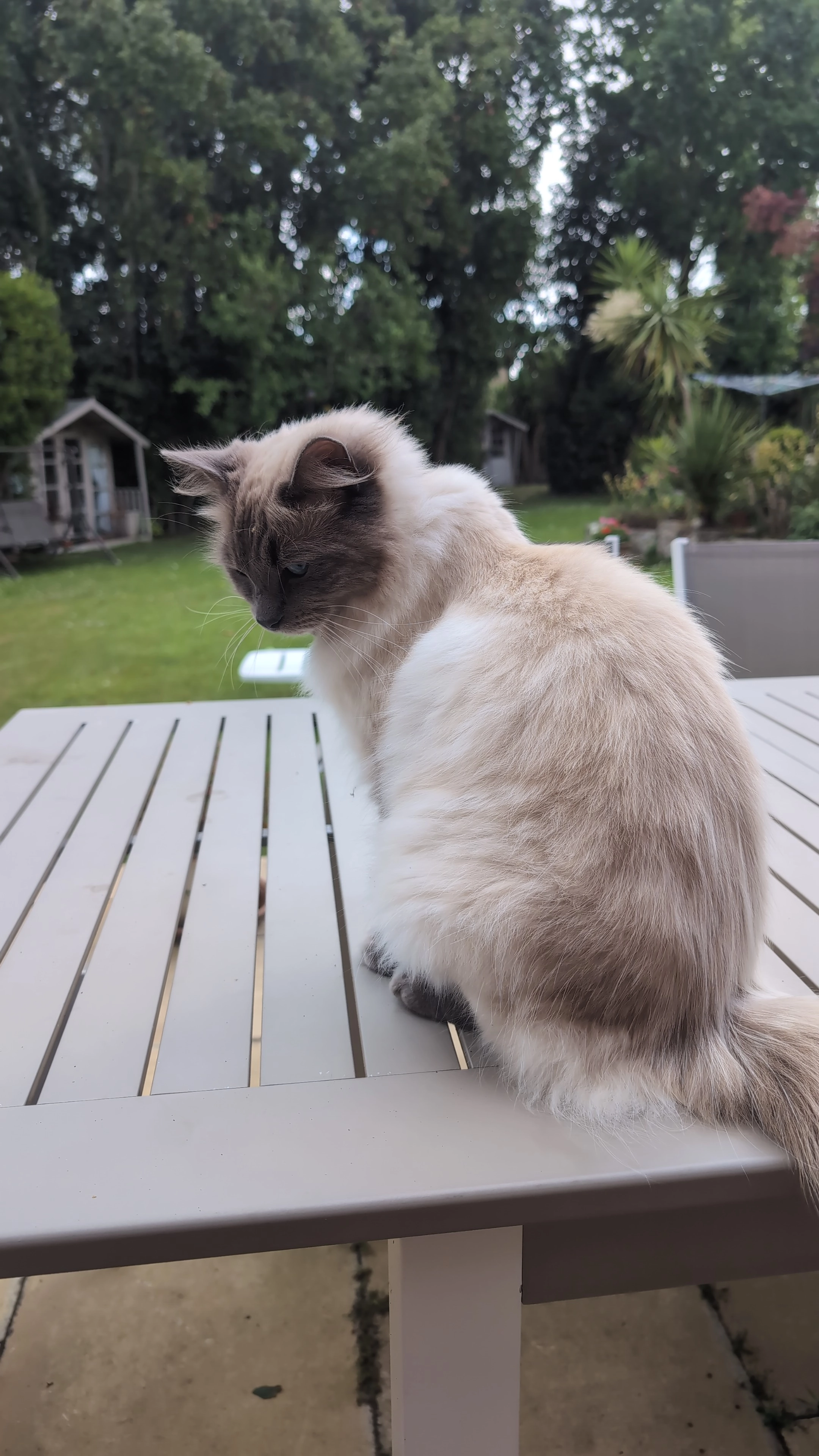 Edgar  - Westwood Road, Ryde