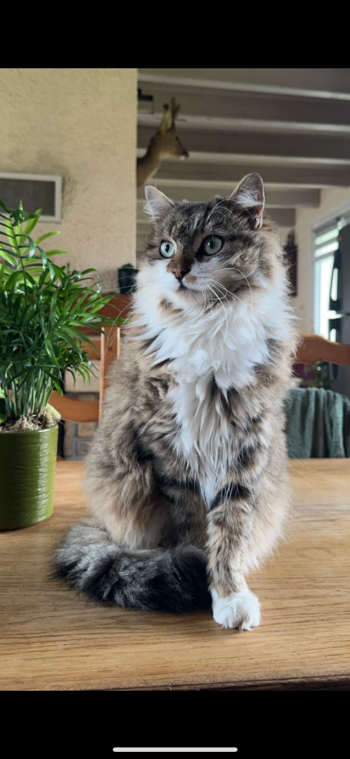 Unik  - 15 Rue du Triolet, Saint-Pierre-en-Val