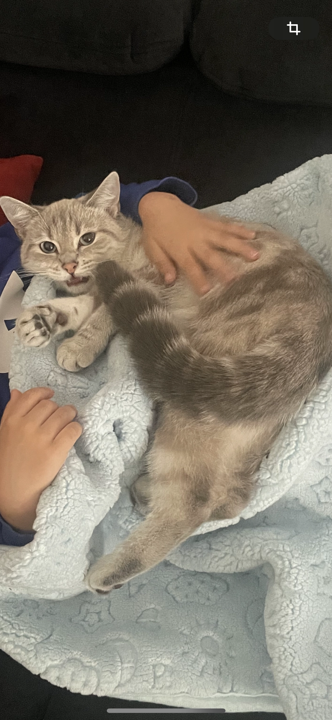 Sütlaç  - Watzmannstraße, Sindelfingen