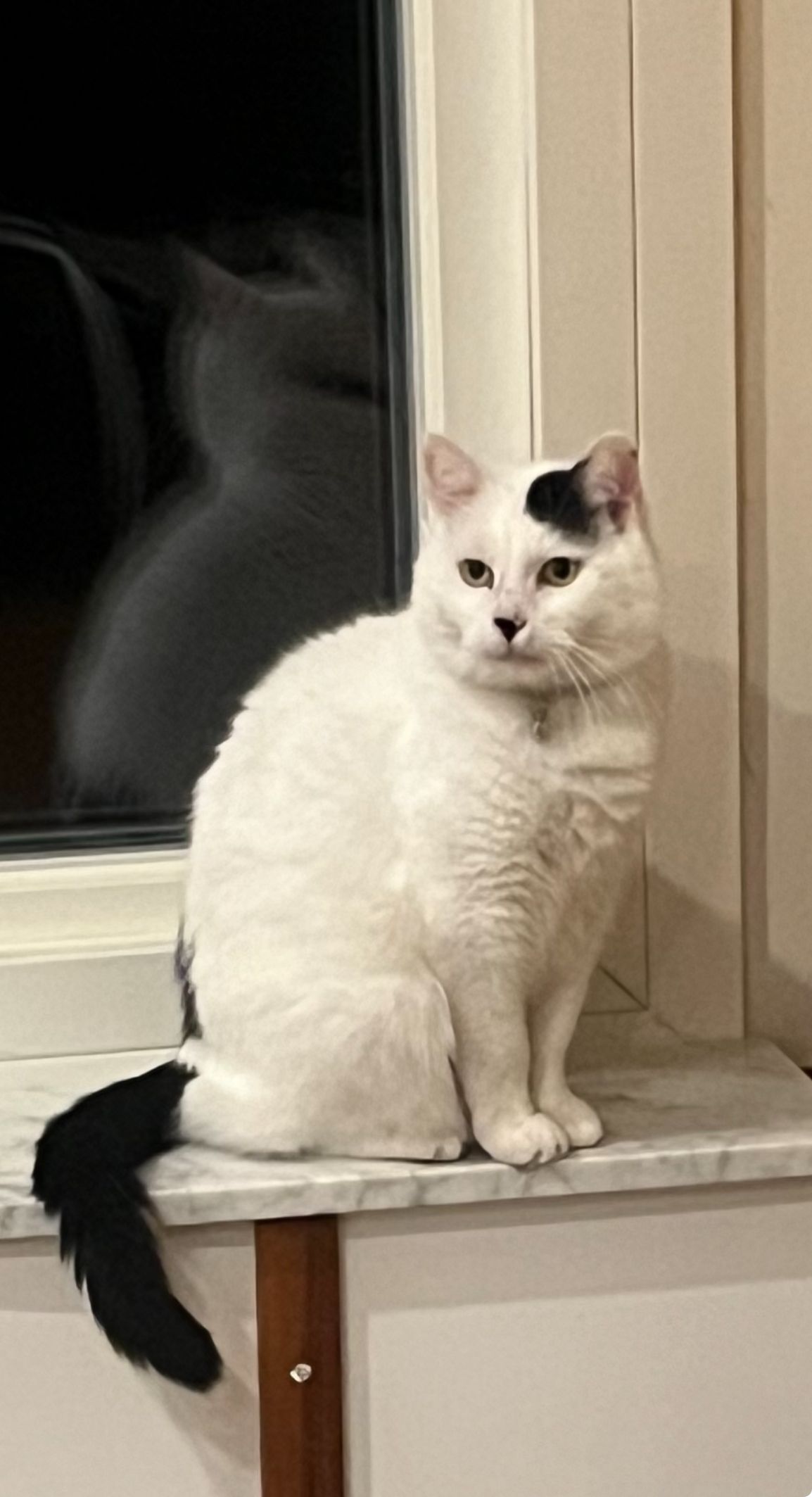 Herrie - Kärrgränd, Stockholm