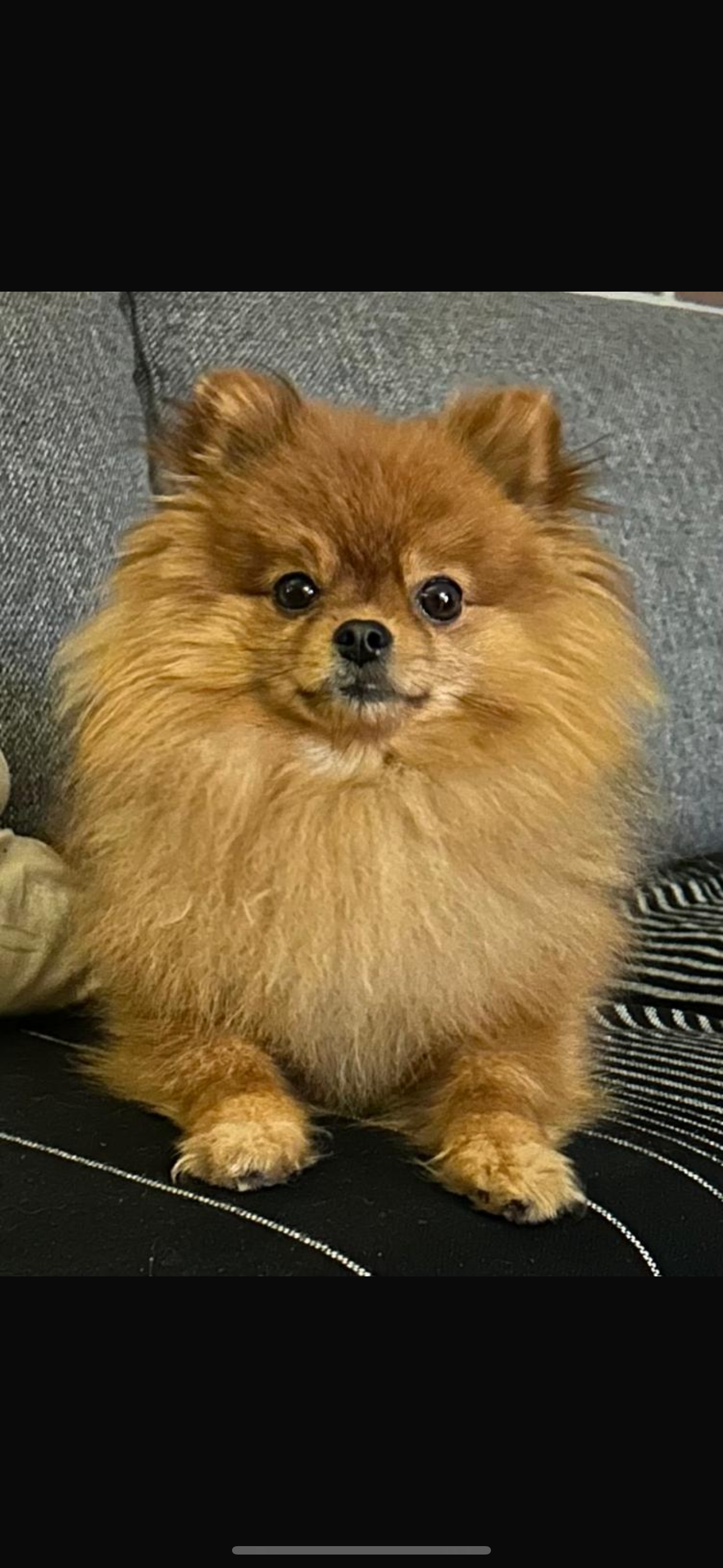 Benz - Vrachelsestraat, Den Hout