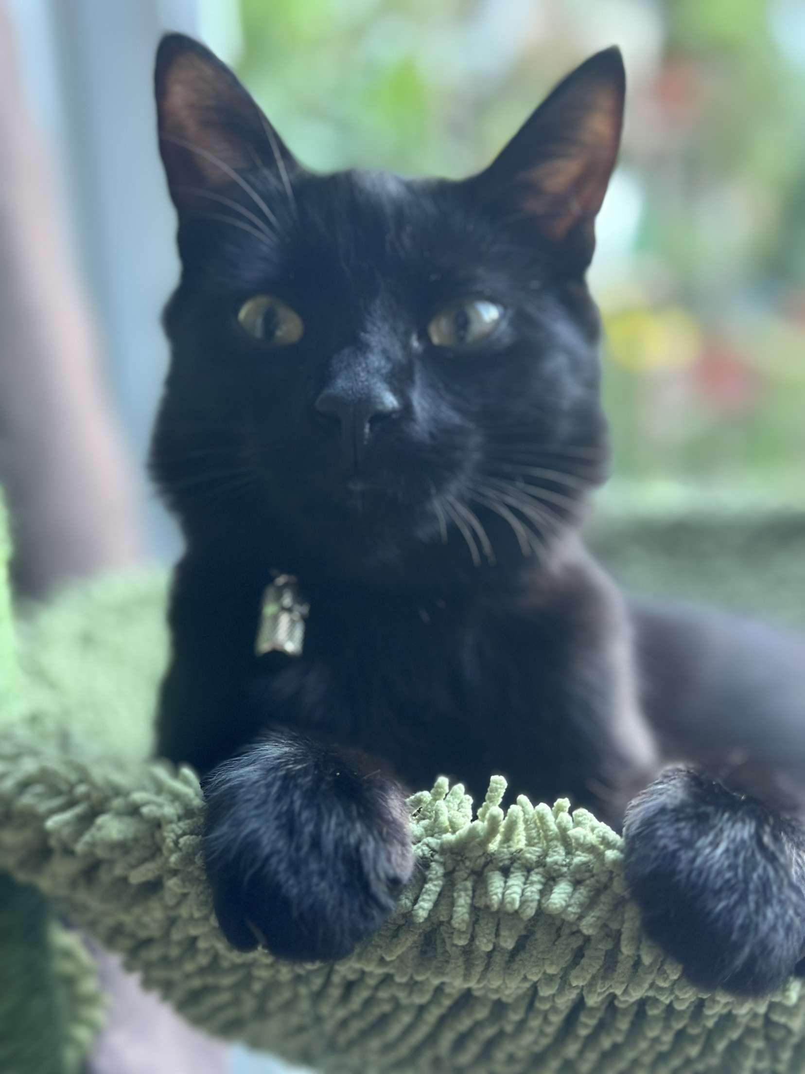 Hugo - Magdalen Court, Broadstairs