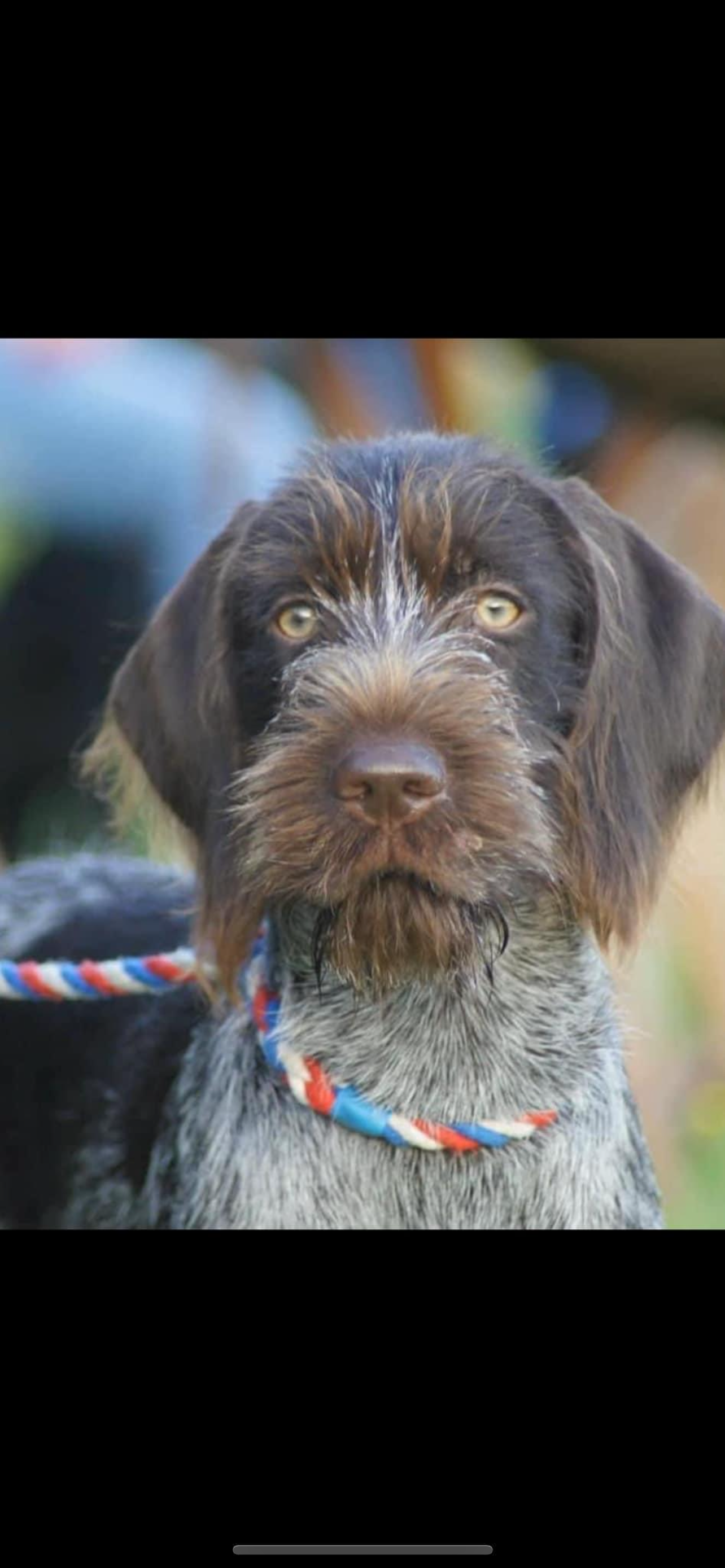 Catootje - Calle de Lucio, Caspe