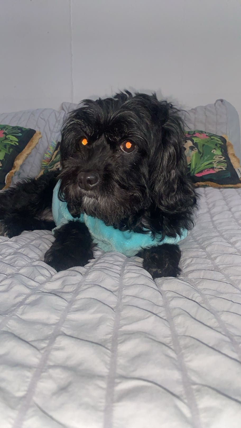 Coco - Conyers Way, Loughton