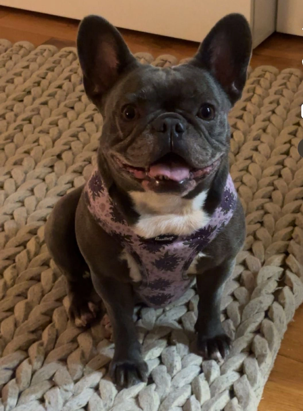 Kaya - Adolf-Kolping-Straße, Salzburg