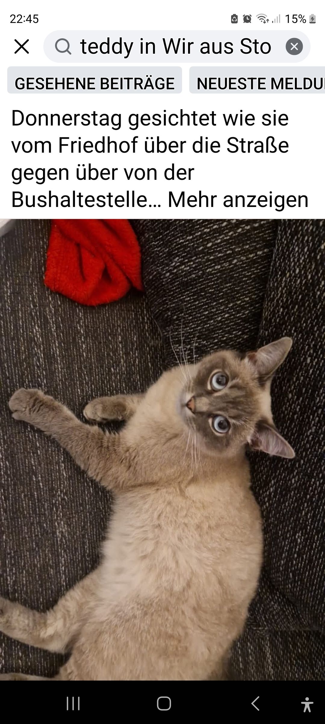 Teddy - Kreuzberger Straße, Euskirchen/Stotzheim 