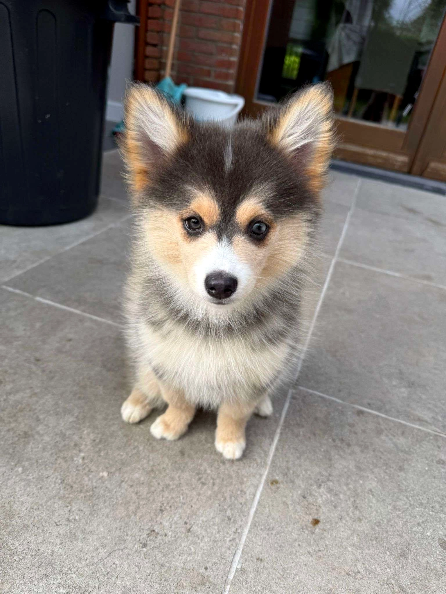 Hina - Itterbeeksebaan, Dilbeek