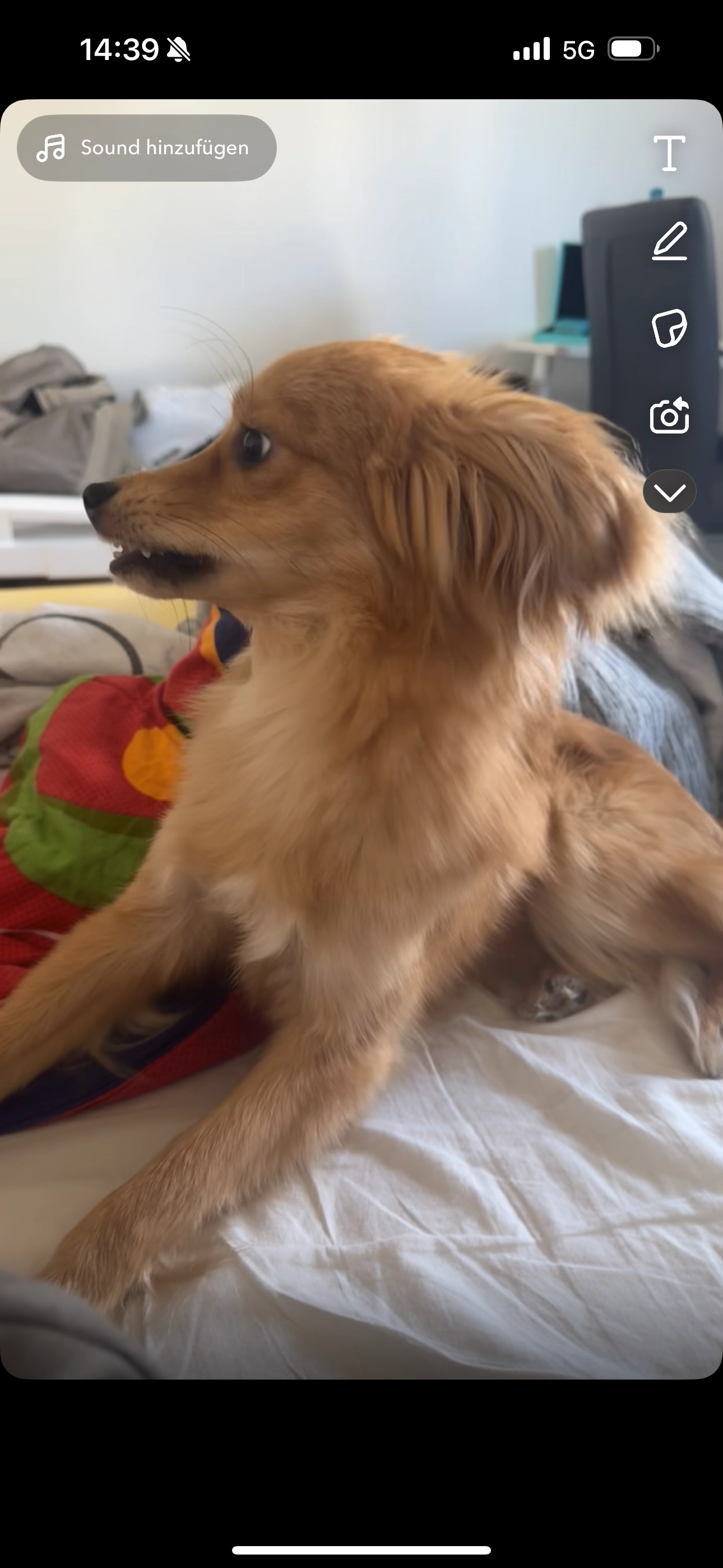 Simba - Stegerwaldstraße, Neuss