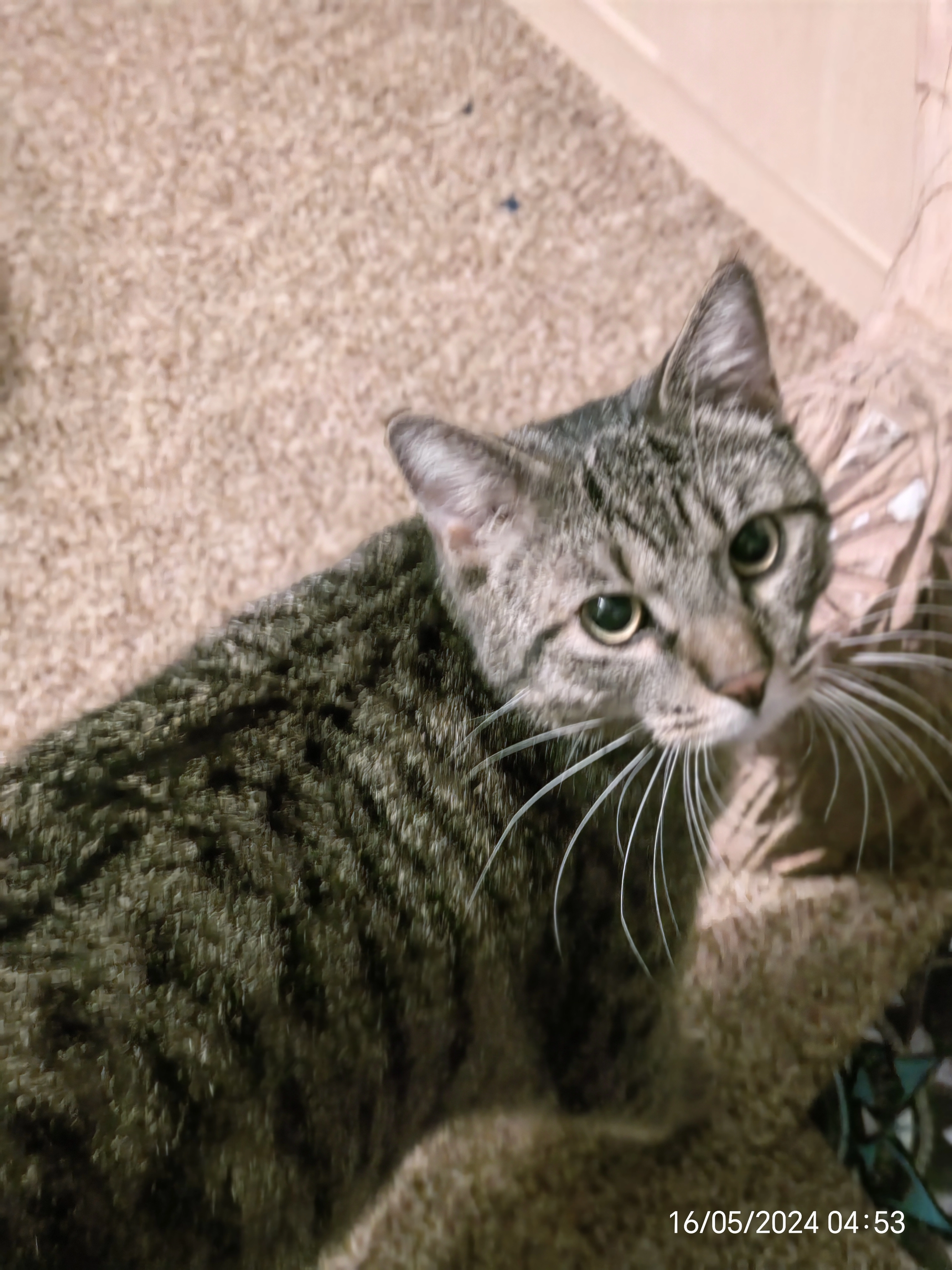 yakari - Professor-Kühne-Straße, Bad Rappenau