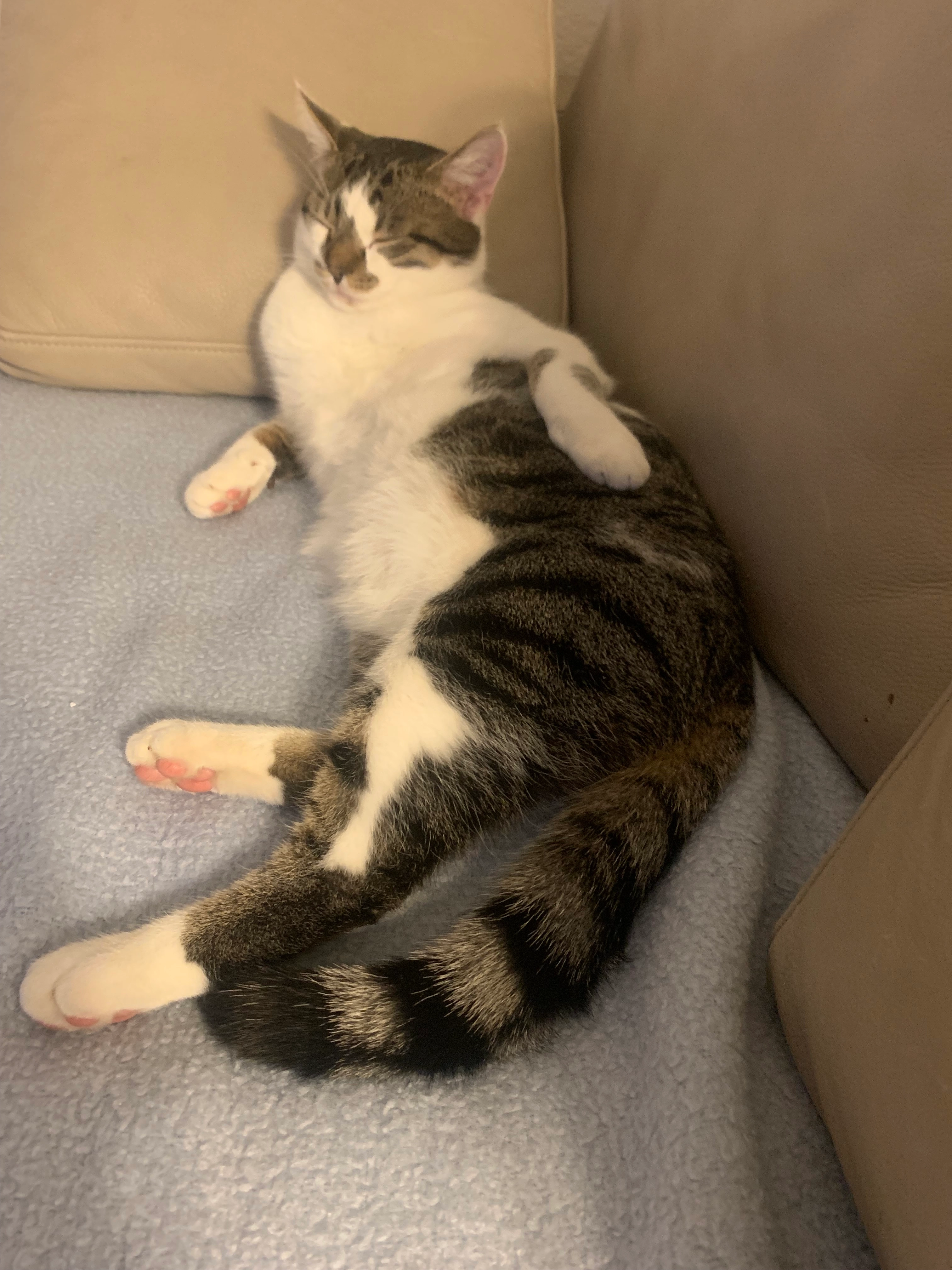 Kit - Bachstraße, Petersberg