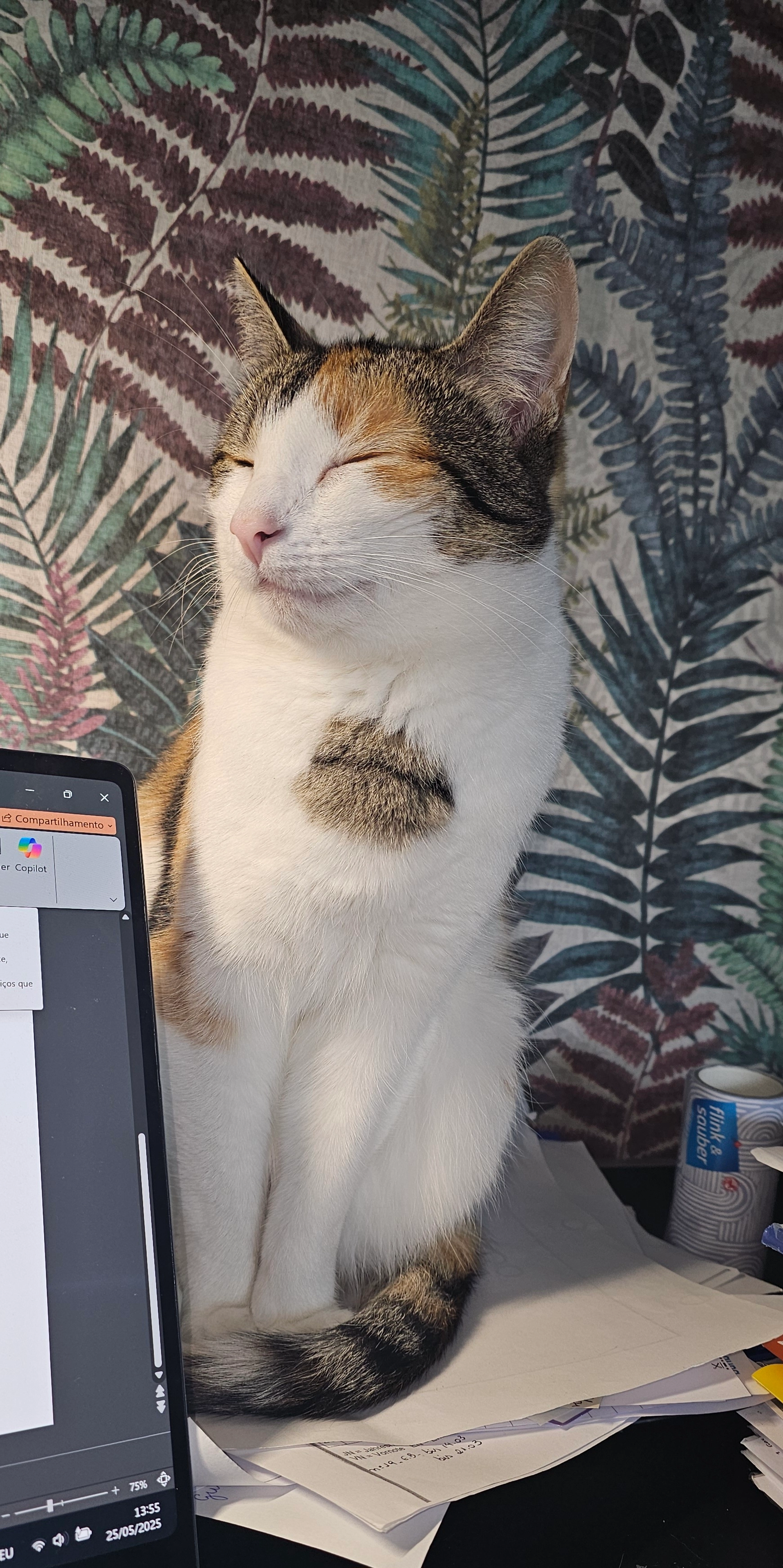 Ely - Schlesierweg, Bad Sachsa