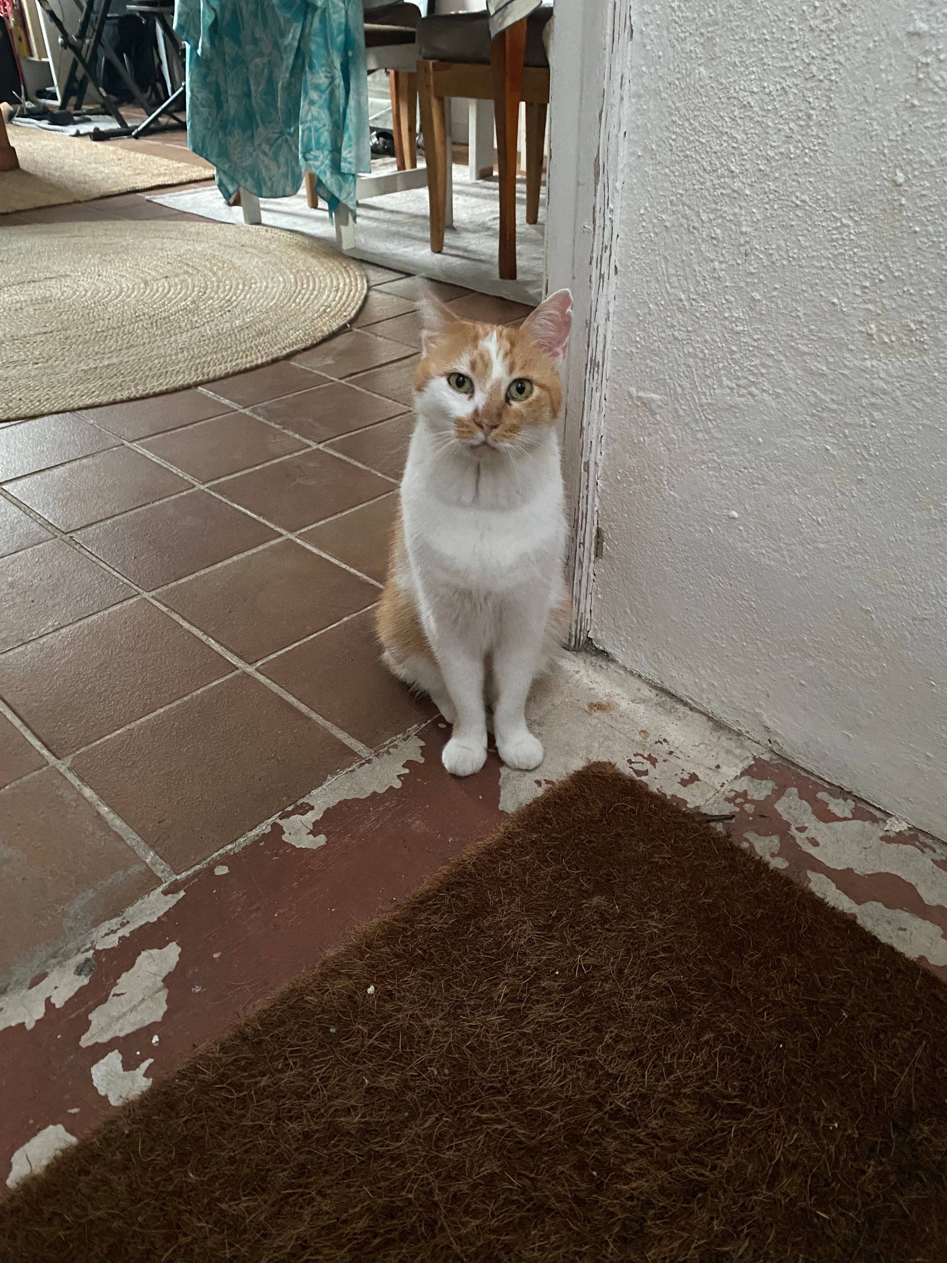 Milou - Chemin Des Sables, Bédoin