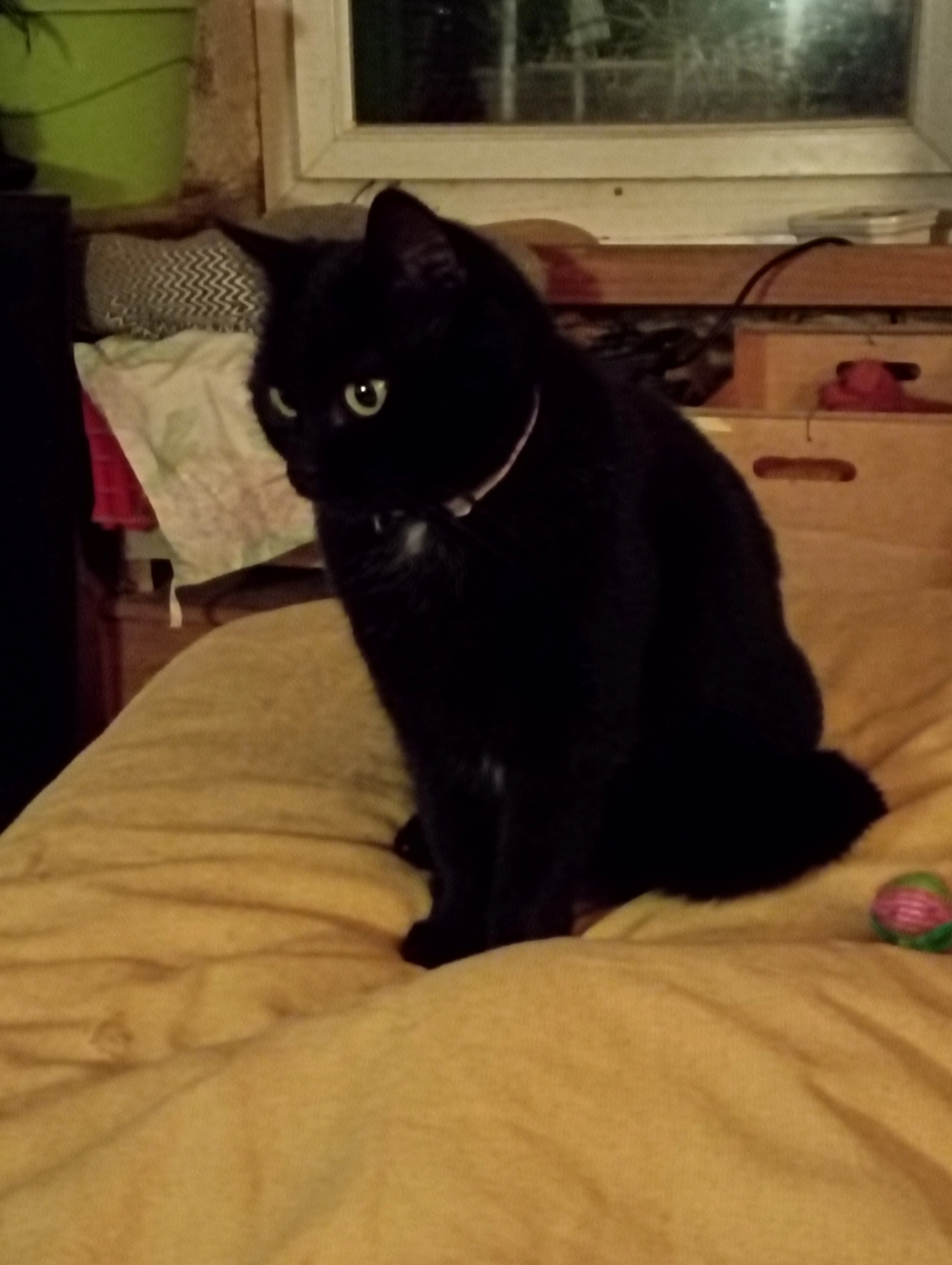 Carbone - Chemin de Chavanay, le Chanay commune de Tenay