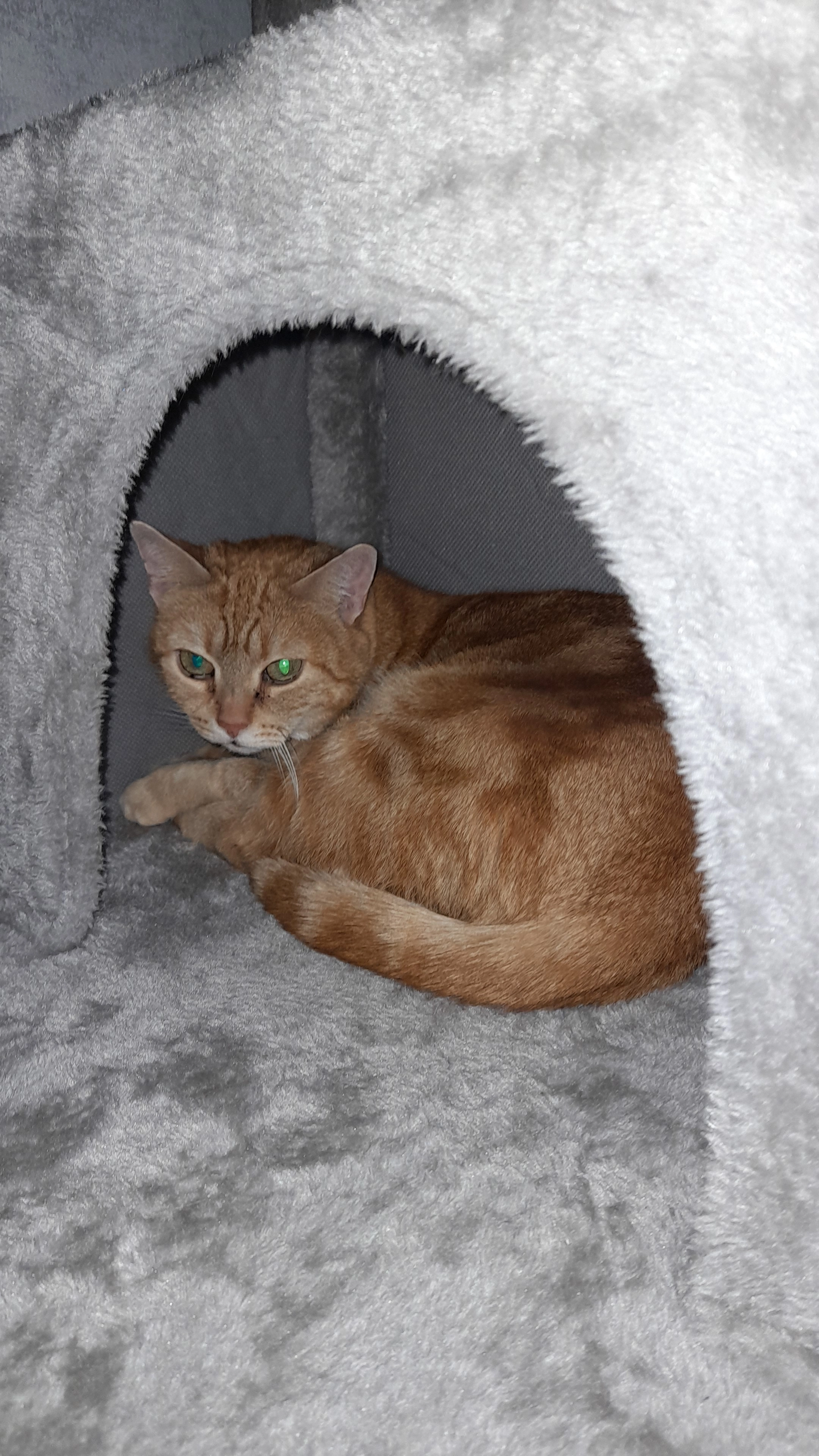 Mucki - Schürstabstraße, Nürnberg