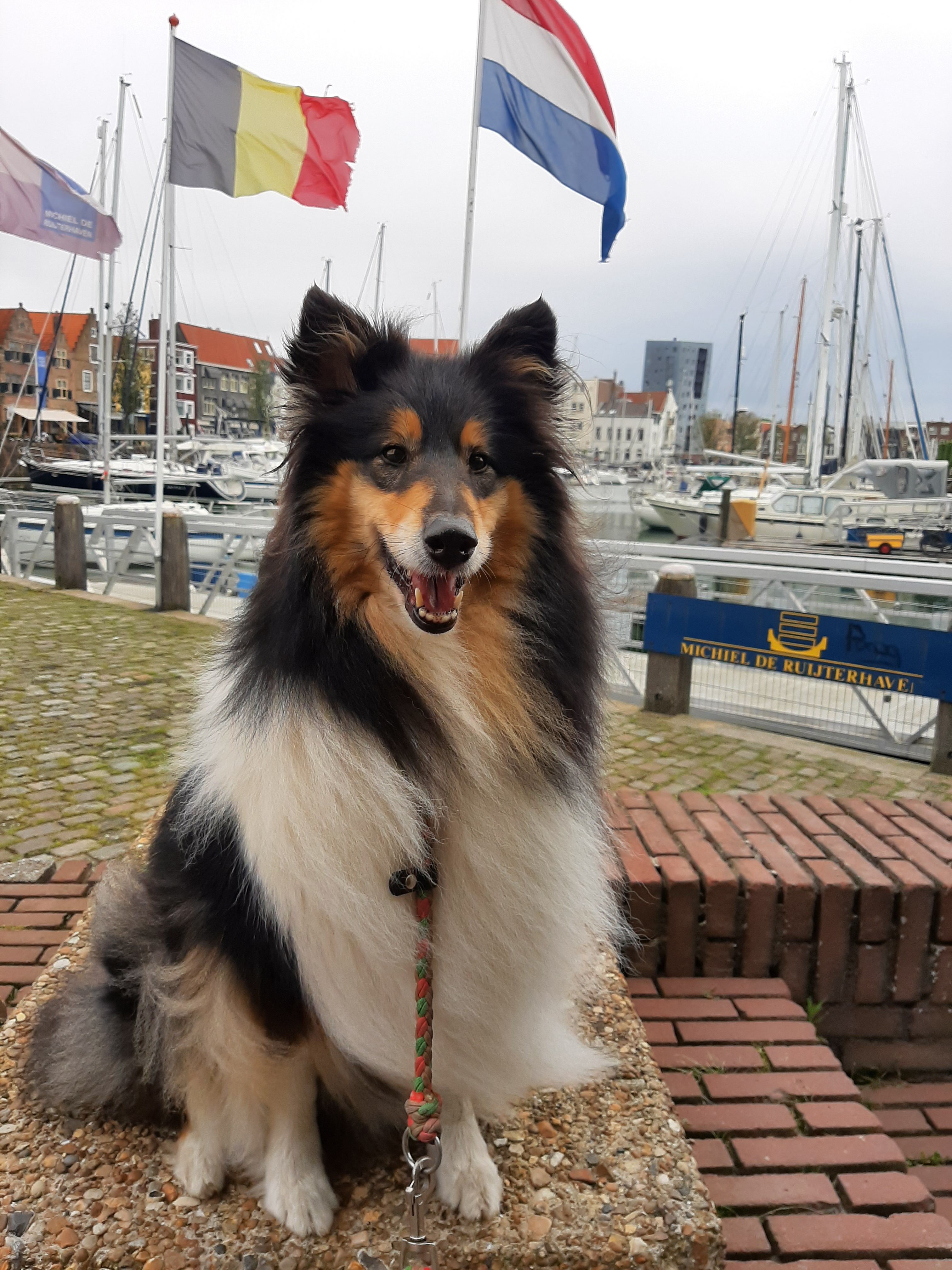 Ascha - Trambaanweg, Rhenen