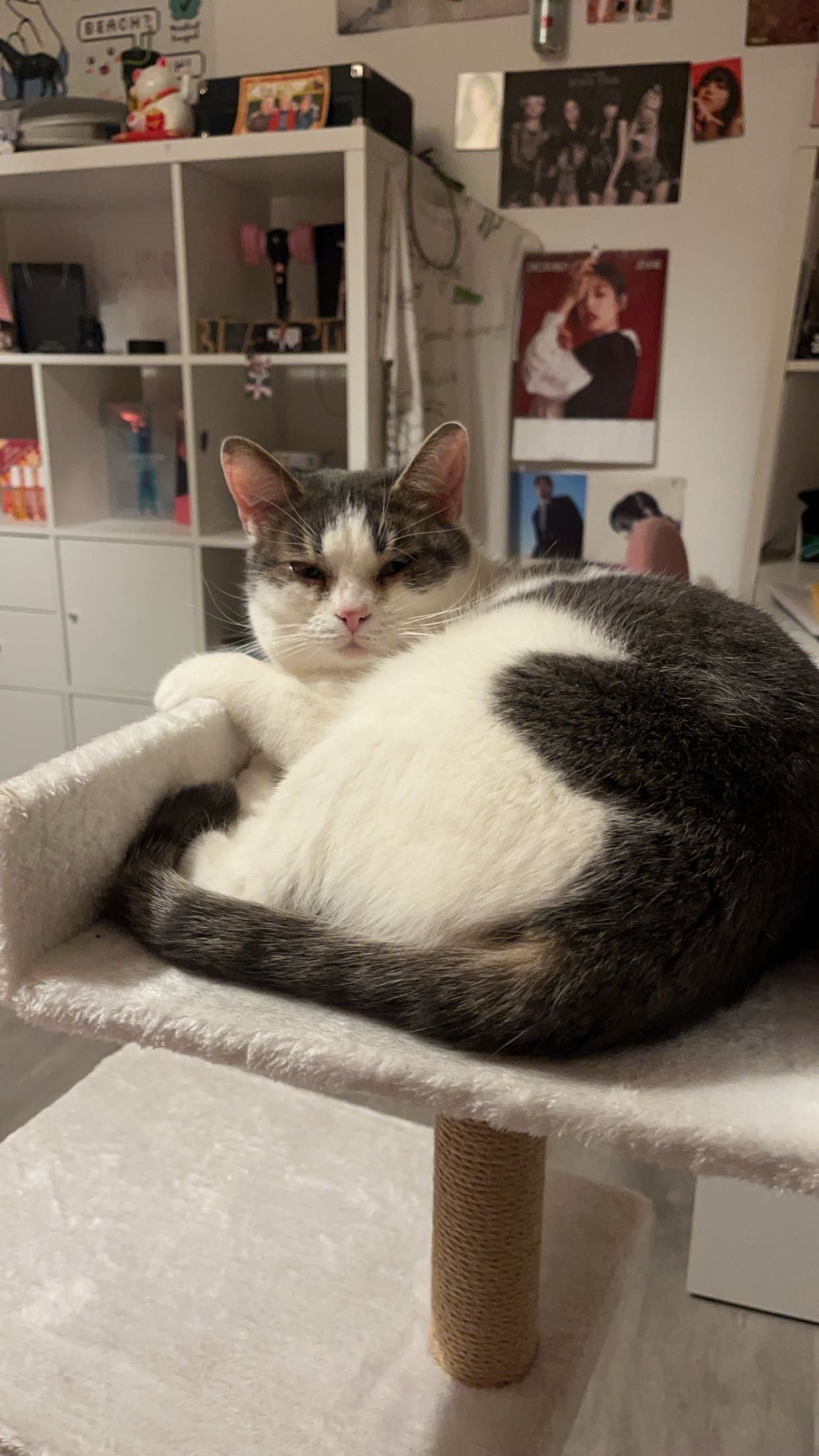 Ullie  - Route De Samer, Verlincthun