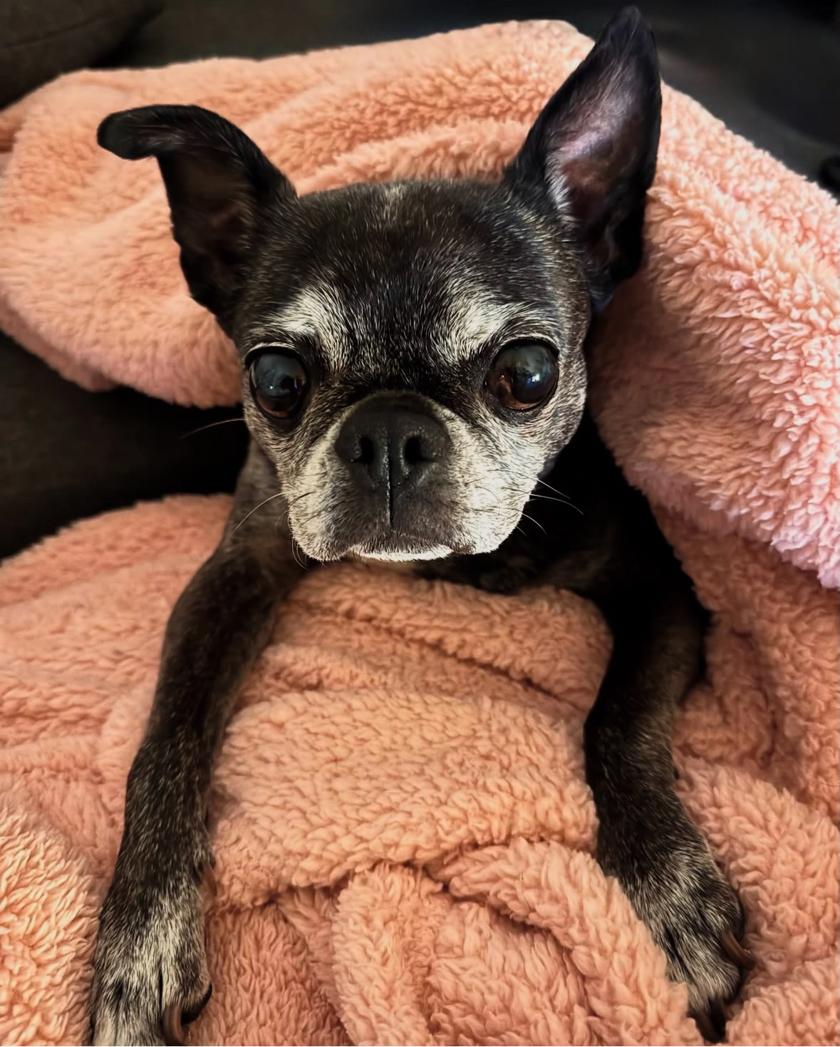 Sophie - 4 Boulevard Dubouchage, Nice