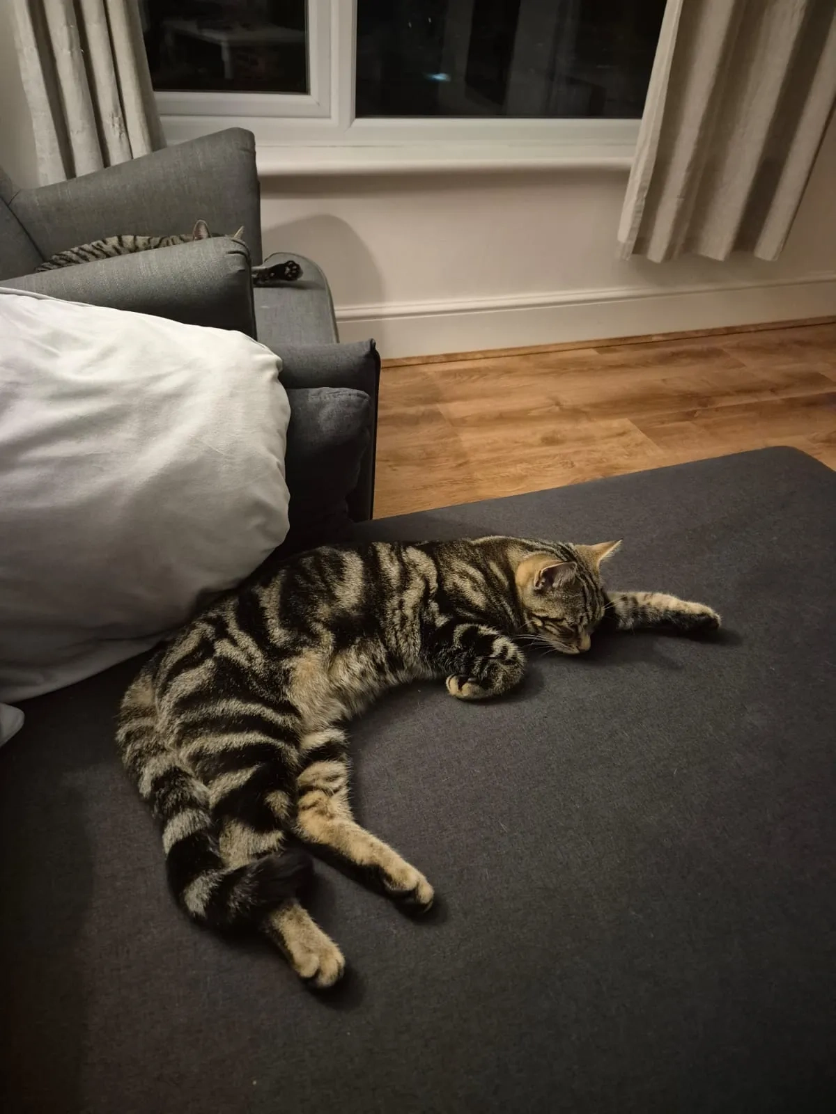 Pauly - ME9 0, Sittingbourne